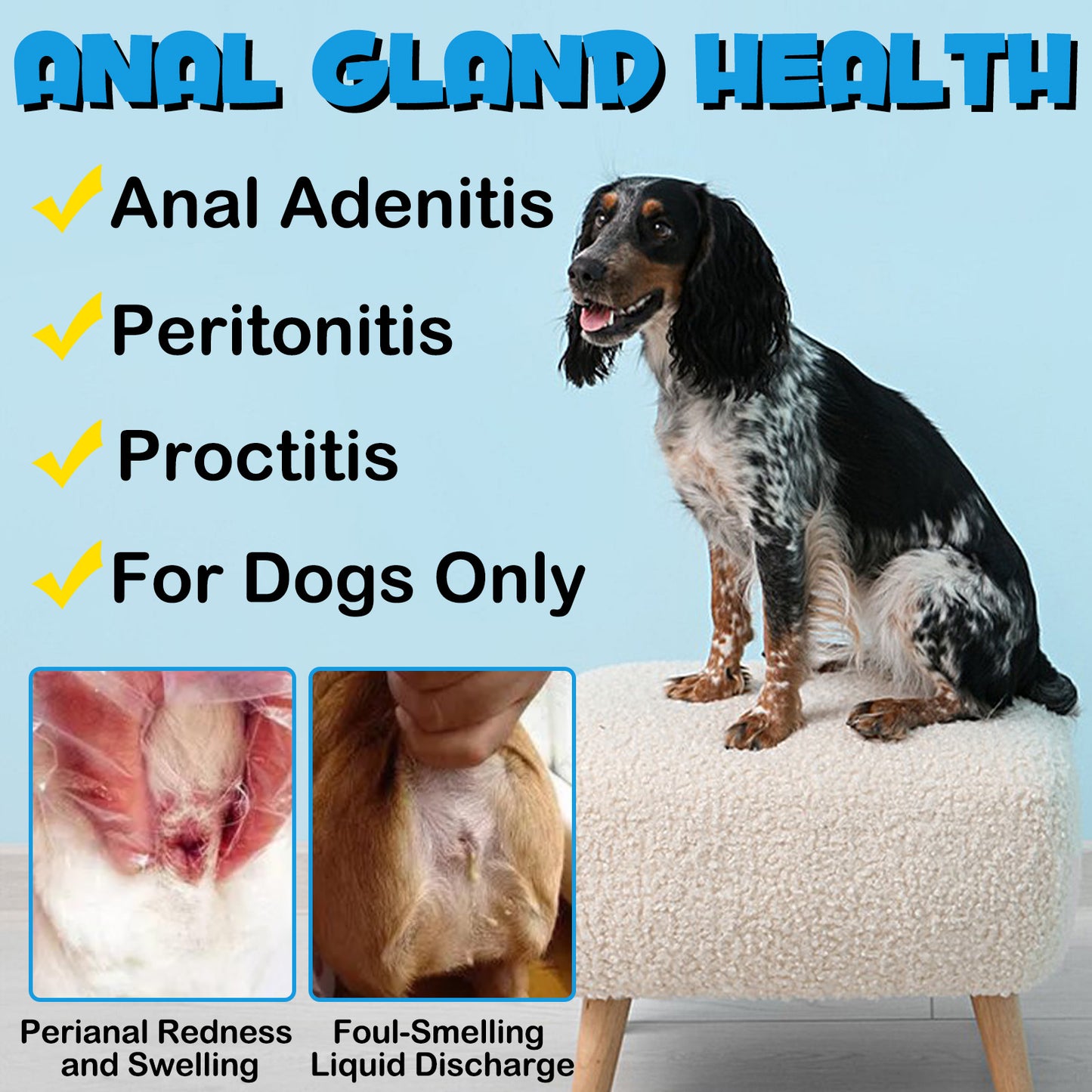 Anal Gland Support Chews for Dogs – Digestive & Bowel Health Formula