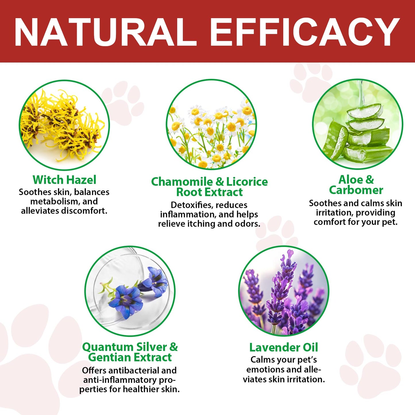 Cat Hot Spot Spray – Itch Relief, Skin Healing & Antimicrobial Care