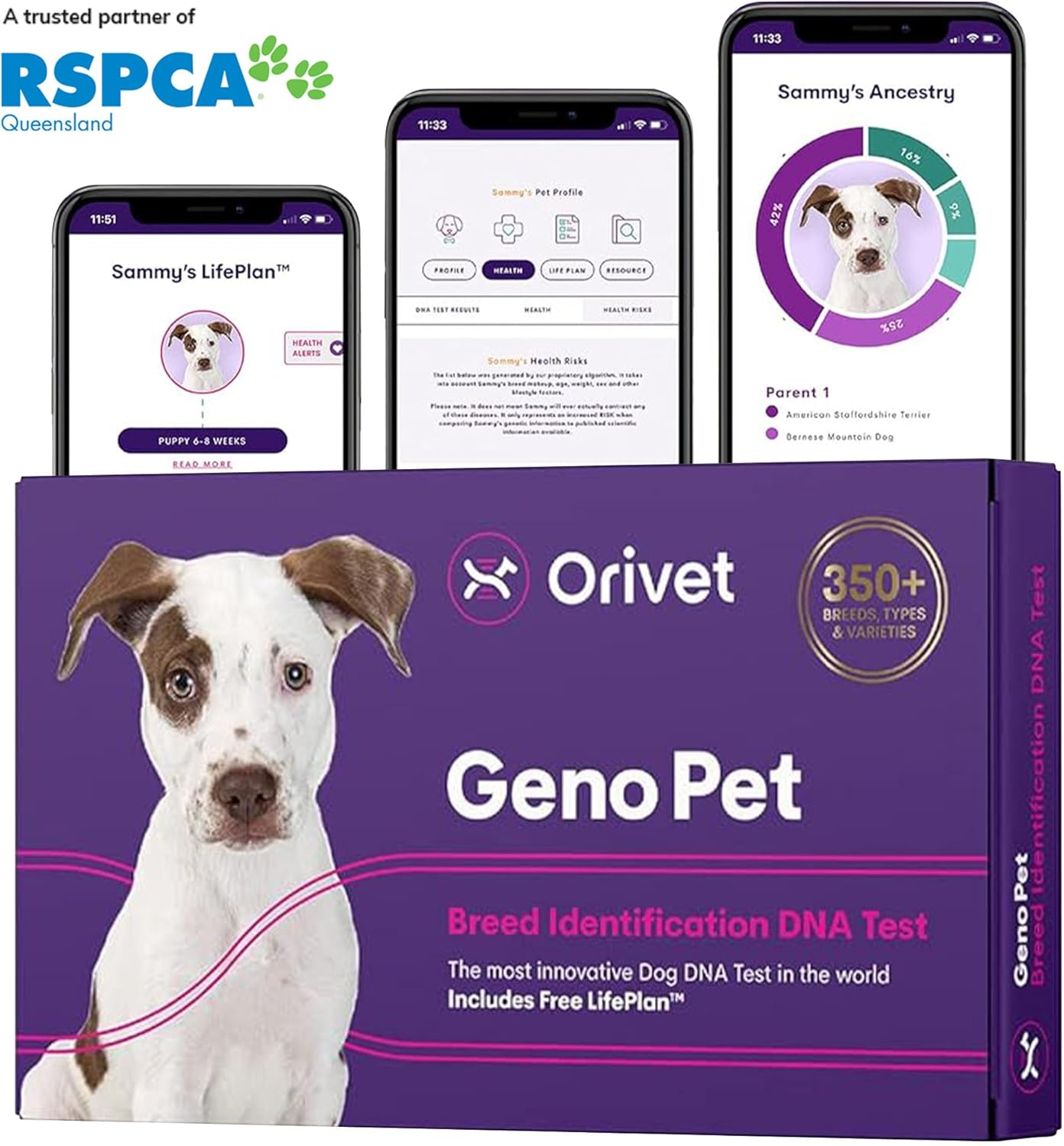 ORIVET Genopet Dog DNA Test | Dog Breed Test Kit, Genetic Testing, Heritable Health Risks and Life Plan