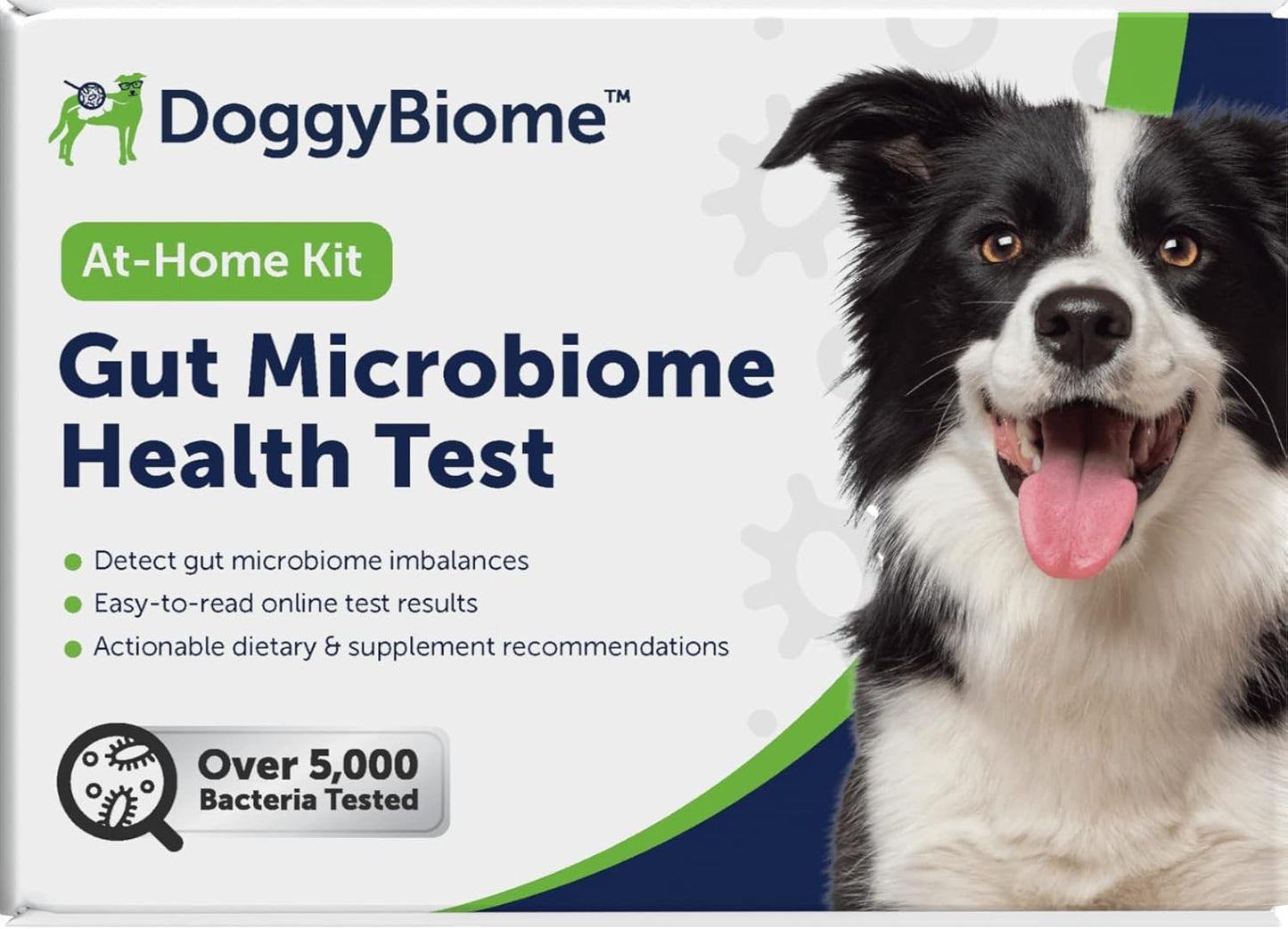 Dog Probiotics Test Kit - Gut Microbiome Health Test - DoggyBiome