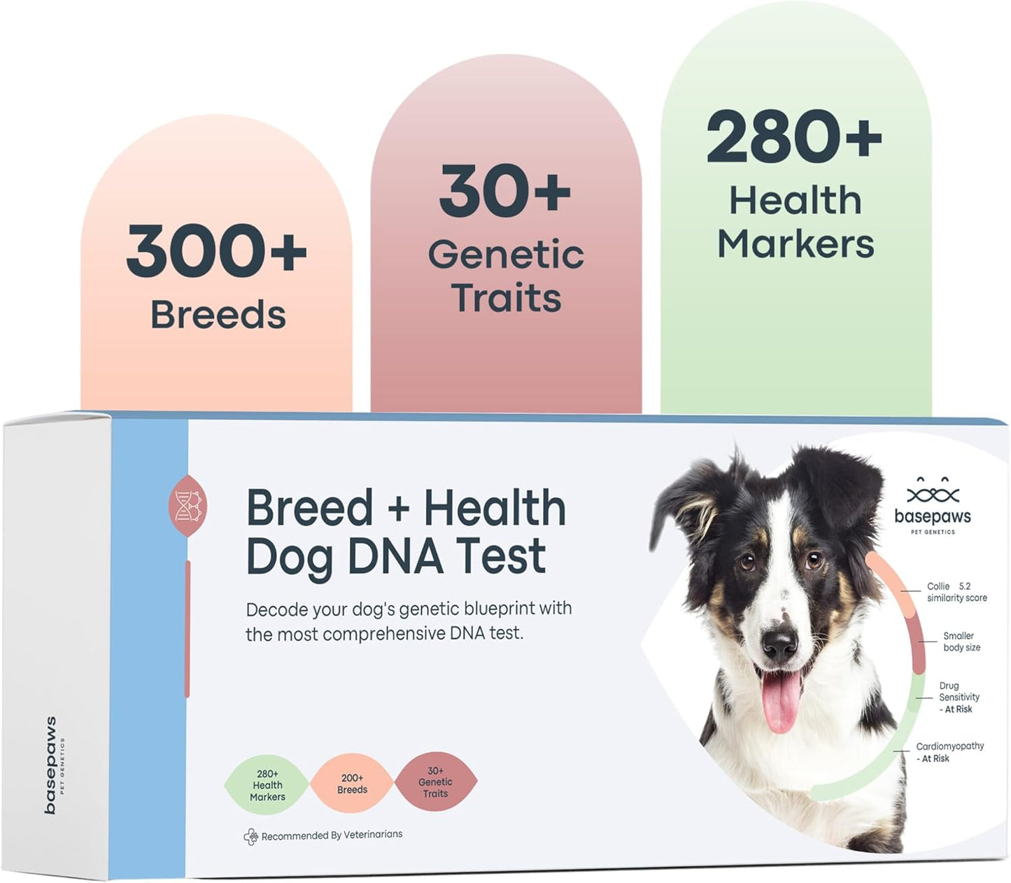 Basepaws Dog DNA Testing Kit - 300+ Breeds, 280+ Health Risks, and 30+ Traits