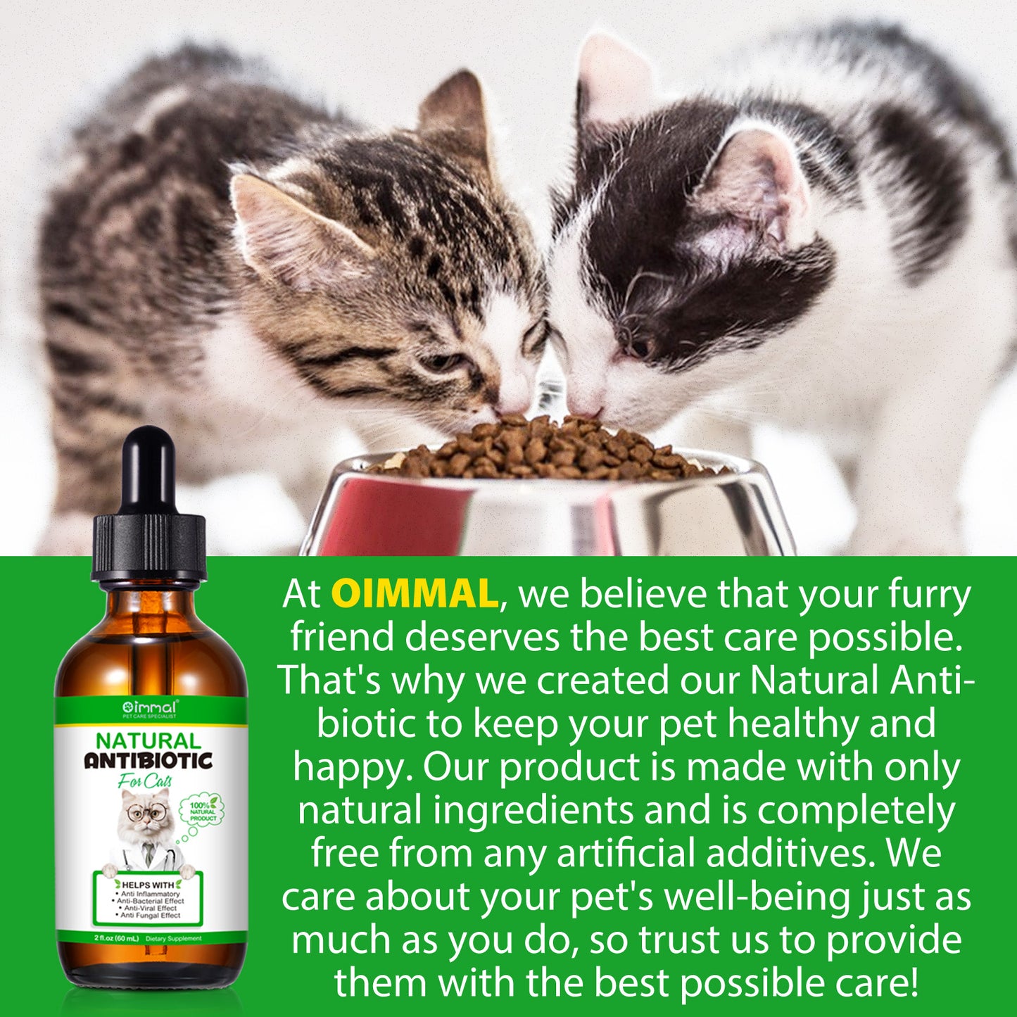 Natural Antibiotic Drops for Cats – Immune, Skin & Infection Support