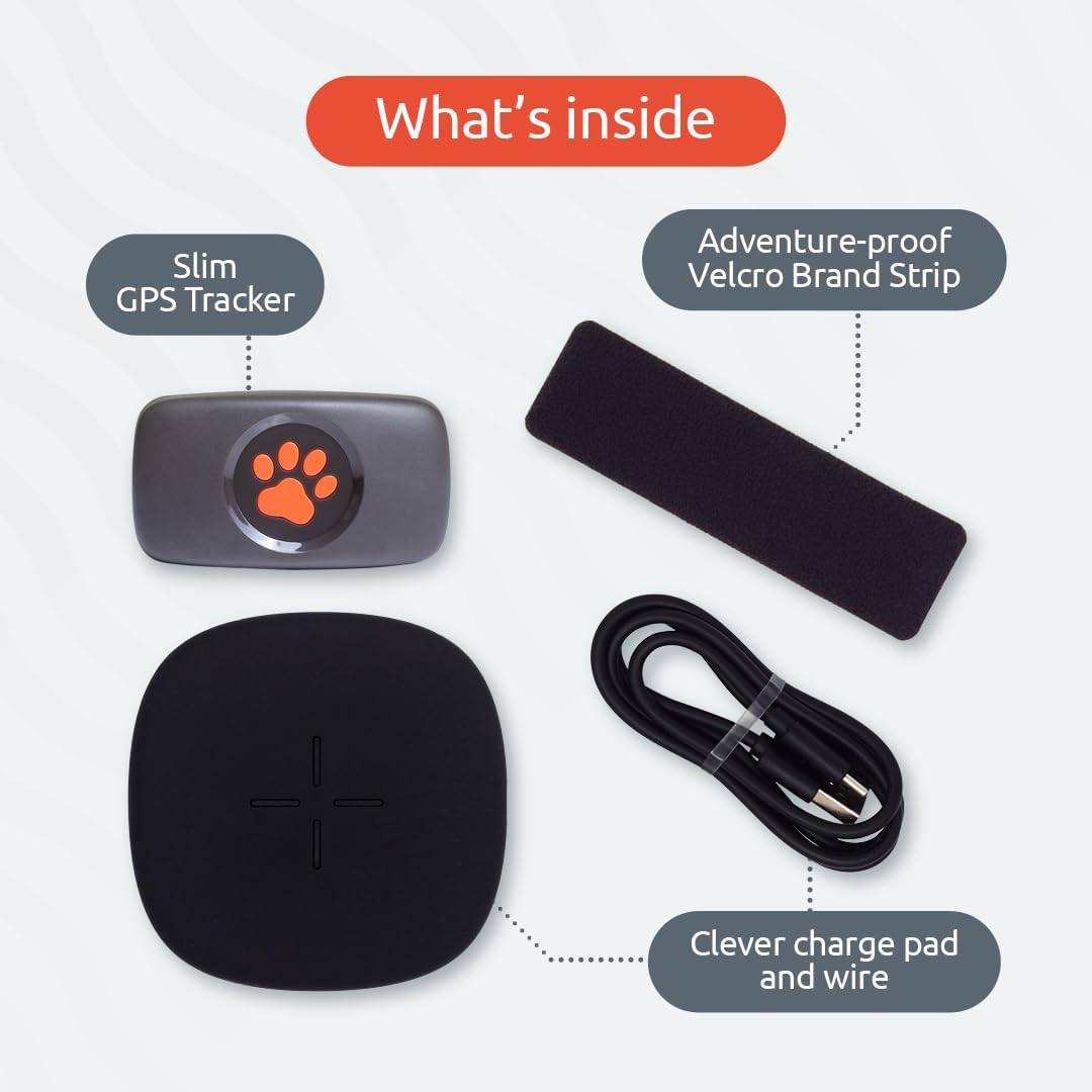 PitPat Dog GPS Tracker - No Subscription Required - Suitable for All (Black)