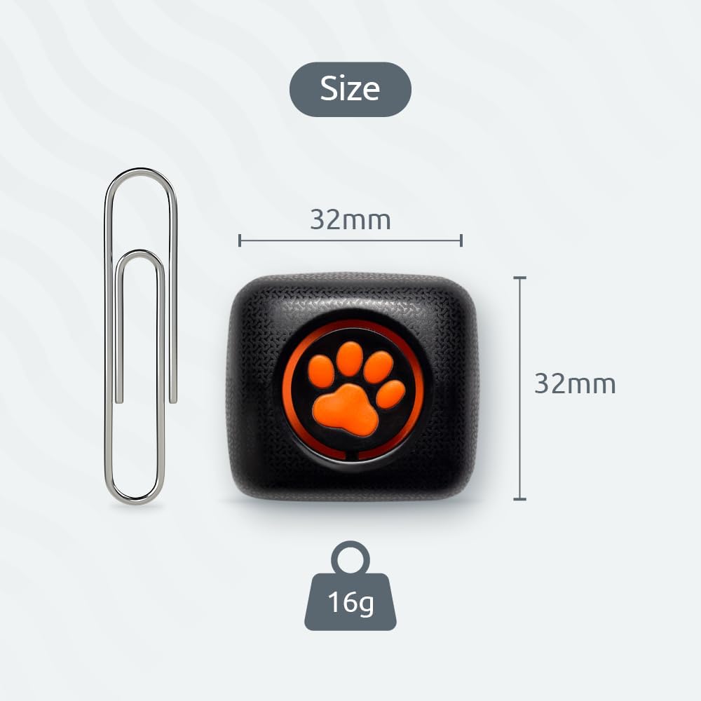 PitPat Dog Activity and Fitness Monitor (No GPS)