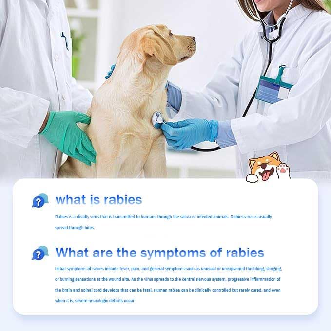 Giardia Test Kit for Dogs and Cats – Fast & Accurate Results in 5–10 Minutes – Detects Giardia in Feces or Vomit – Easy-to-Use, Non-Invasive, Early Diagnosis for All Breeds and Ages