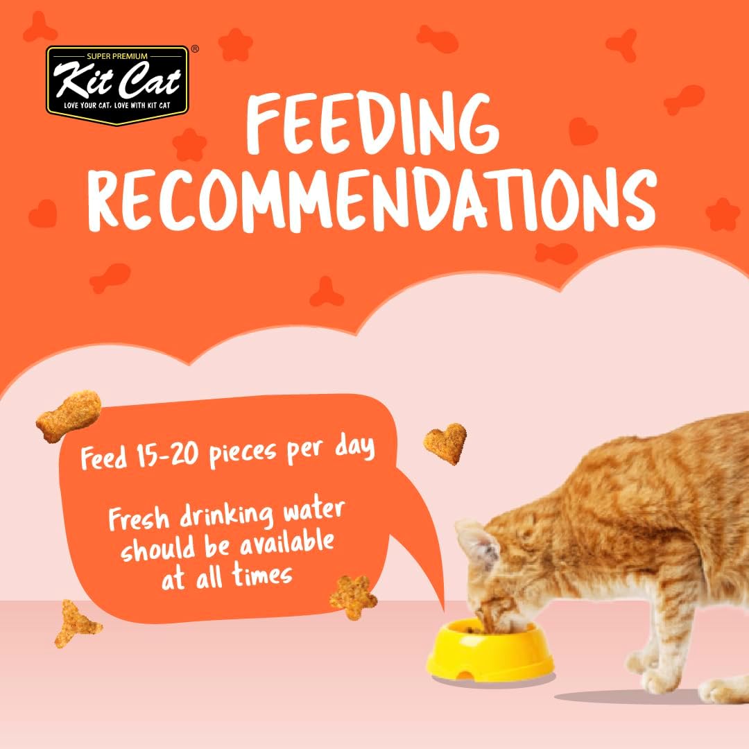 Kit Cat Kitty Crunch Salmon Treat 60 g