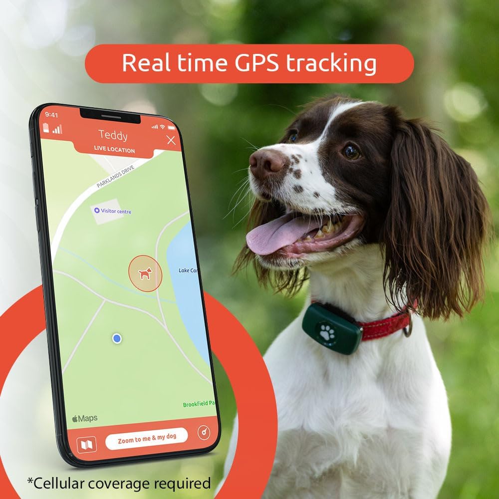 PitPat Dog GPS Tracker - No Subscription Required - Suitable for All (Black)