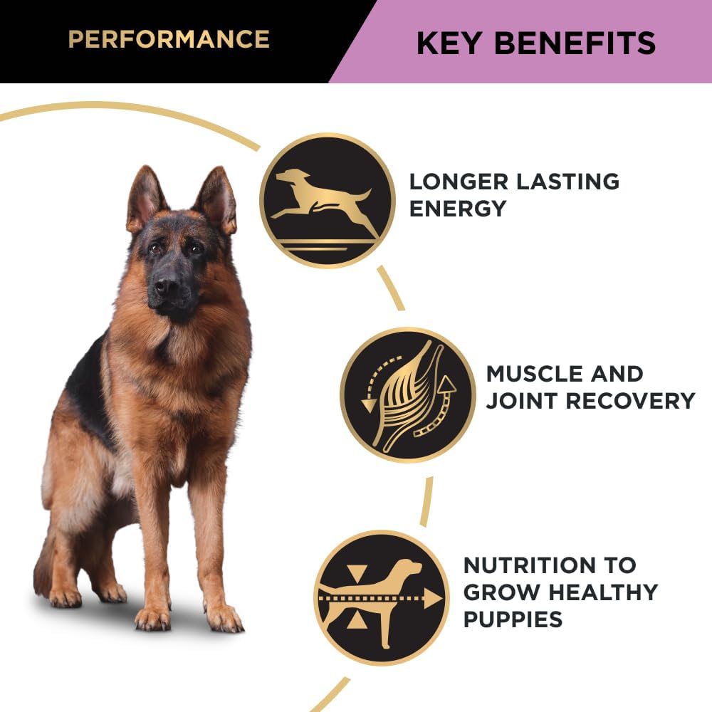 PRO Plan Adult Dry Dog Food Chicken 20kg