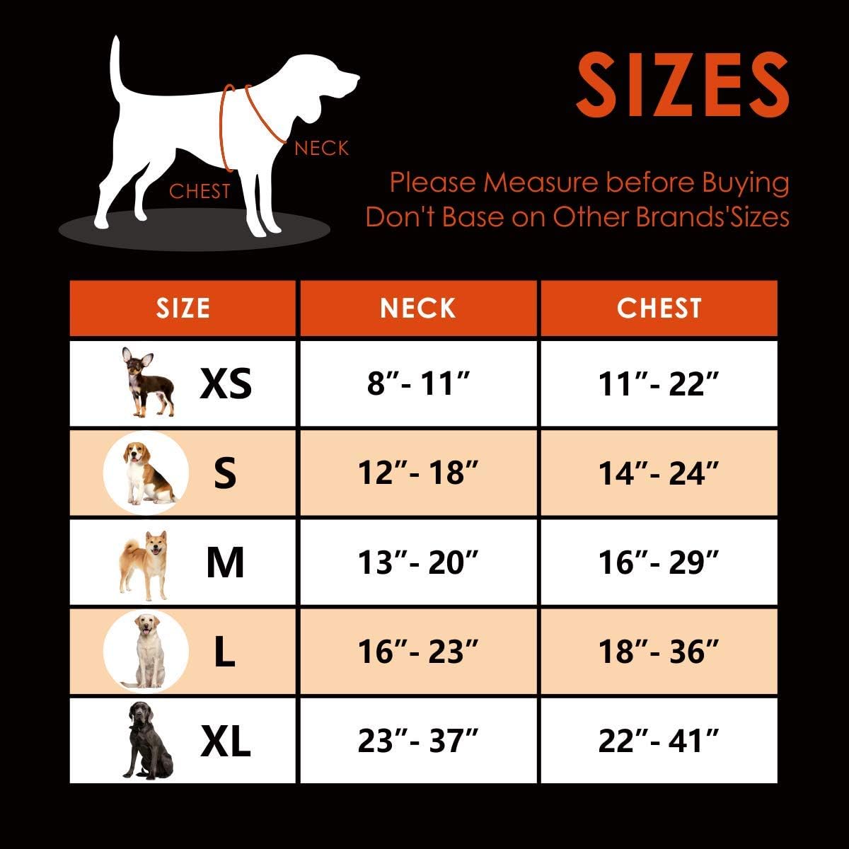 PHOEPET No Pull Dog Harness Medium 3M Reflective Front Clip Vest (M, Grey)