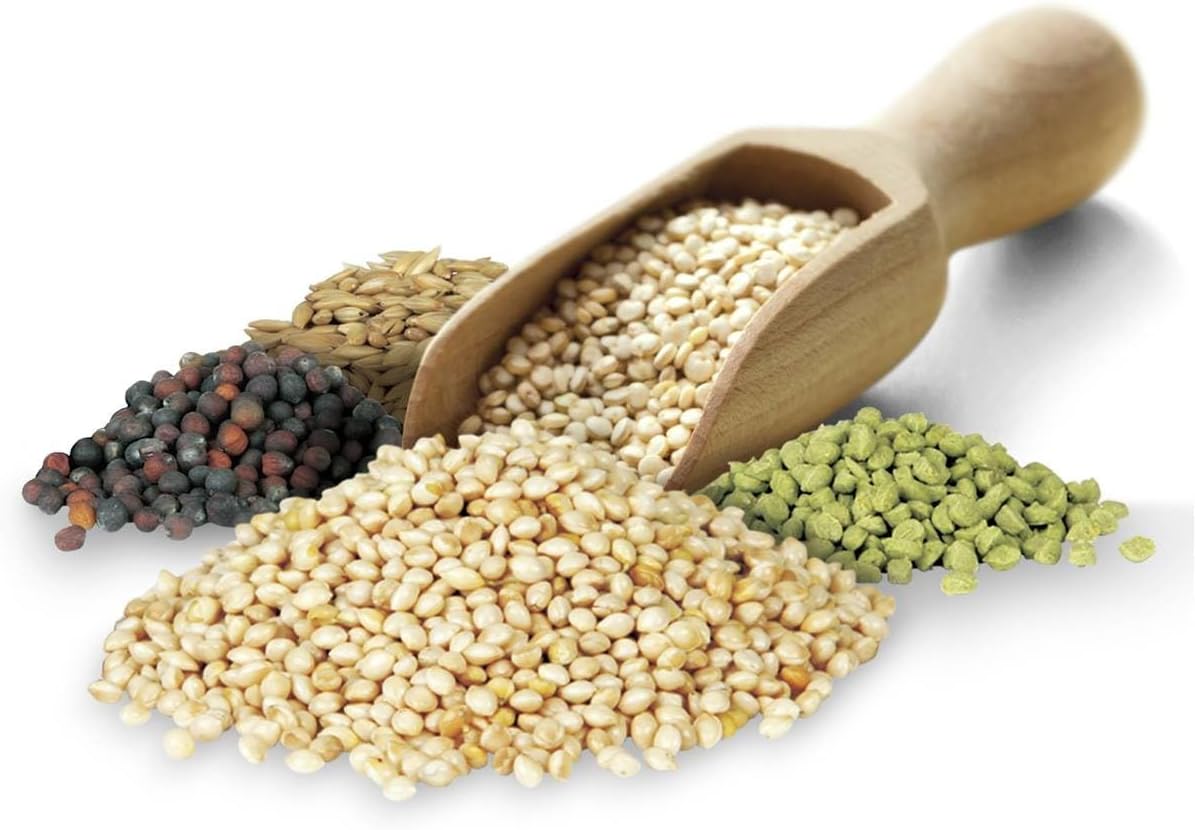 Trill Small Parrot Seed Mix Bird Food 1.8 kg