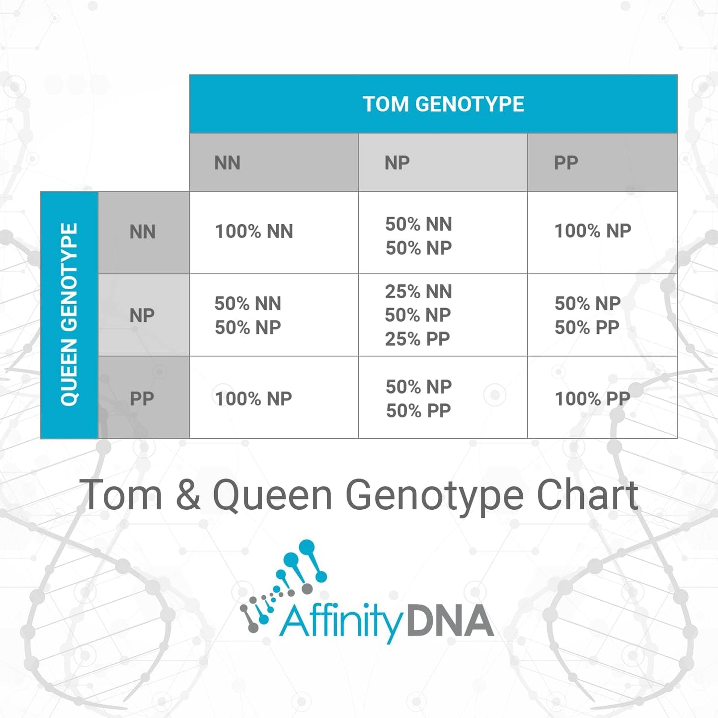 PKD DNA Test for Cats | Home Sample Collection Kit for 1 Feline | Polycystic Kidney Disease Testing | | Just Swab & Send a DNA Sample | Get Your Report in Just 12 Working Days