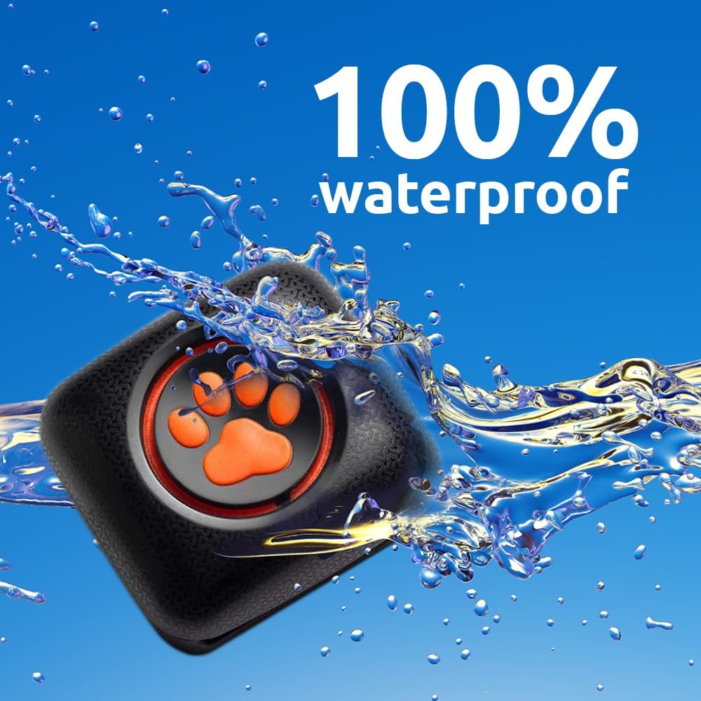 PitPat Dog Activity and Fitness Monitor (No GPS)