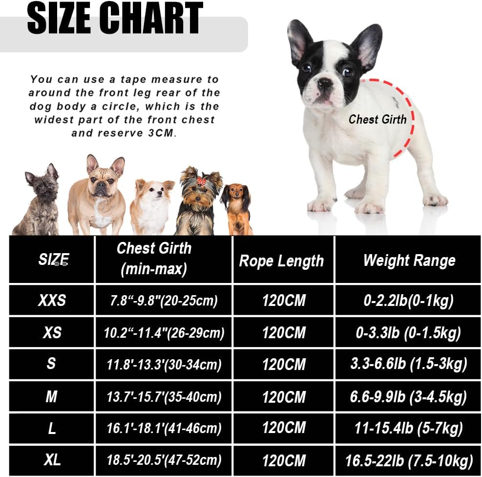 FEimaX Small Dog Cat Harness and Leash Set, No Pull Adjustable Pet Mesh Harness with Reflective Strips