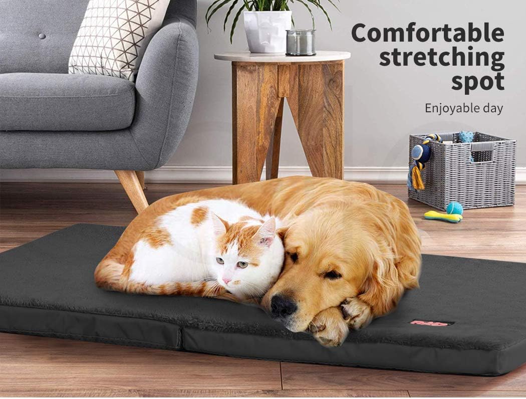 PaWz Foldable Soft Cushion Bed for Dog, XXL, Black