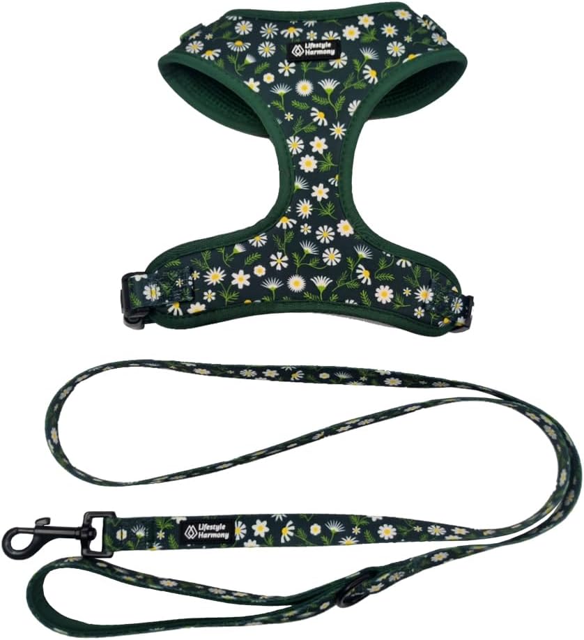 Adjustable Pet Harness and Leash Set—no-Pull, Lightweight, Breathable, Soft-Padded, Escape-Proof Comfortable for Puppies-small