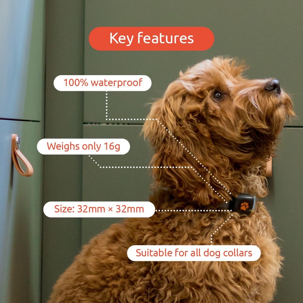 PitPat Dog Activity and Fitness Monitor (No GPS)