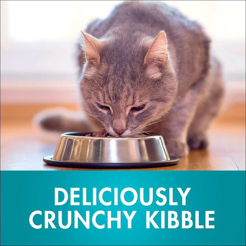 PURINA ONE Adult Dry Cat Food Healthy Weight Chicken 1.4kg
