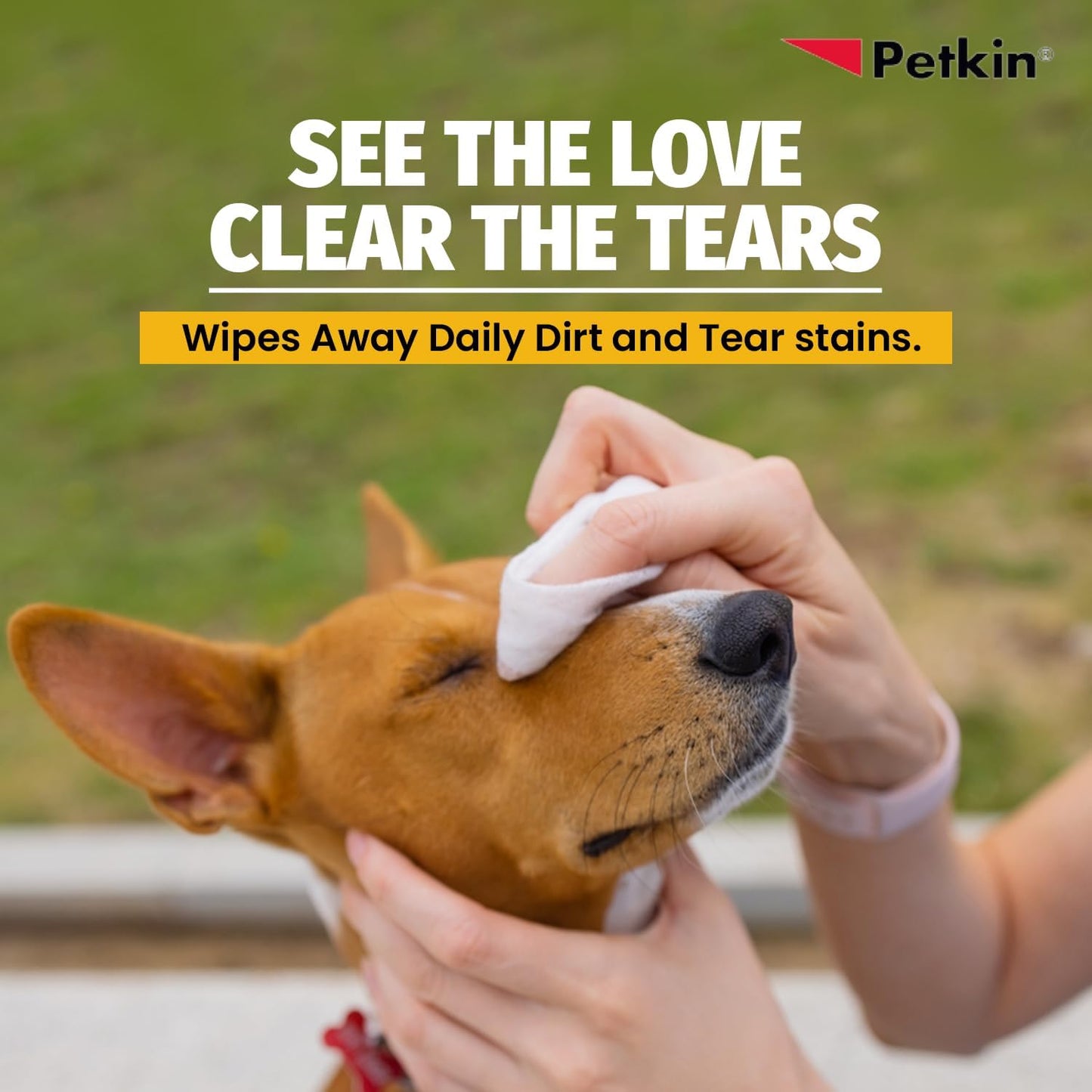 Petkin FBA_537862 Eye Wipes, 80 Pack