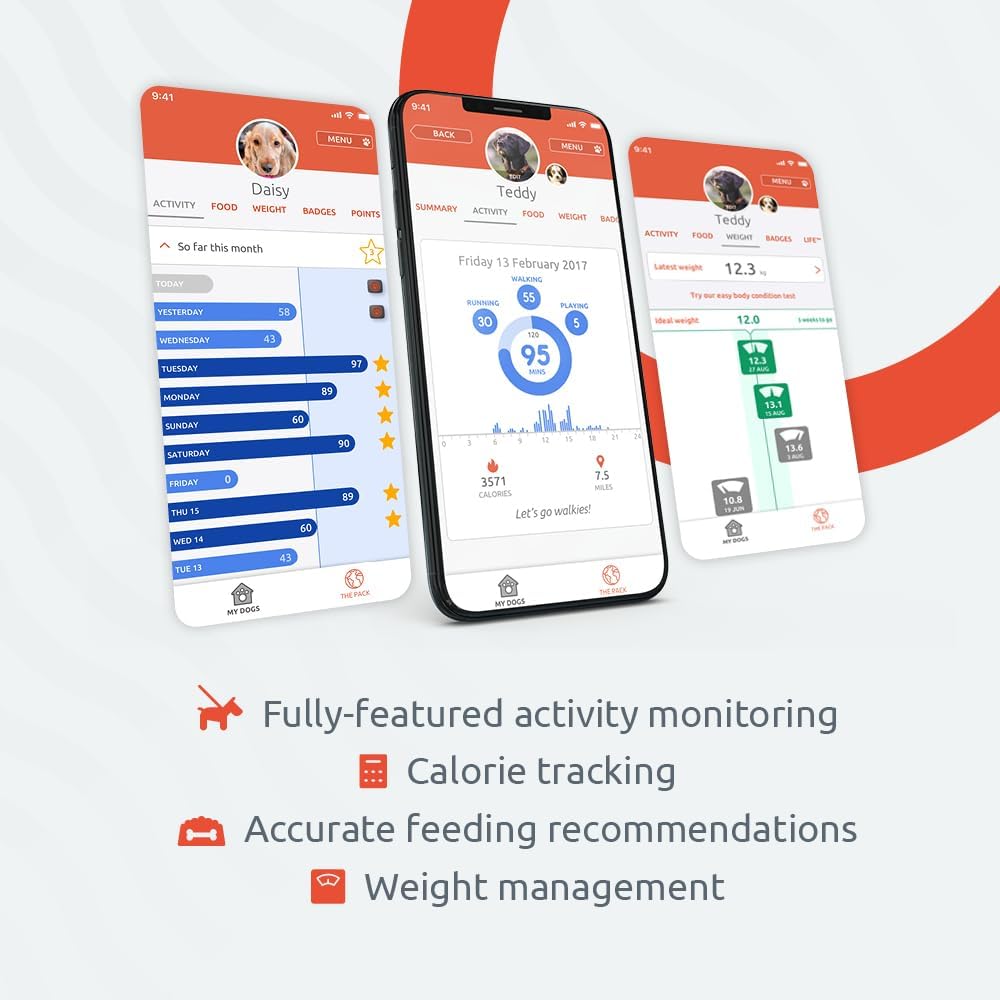 PitPat Dog Activity and Fitness Monitor (No GPS)