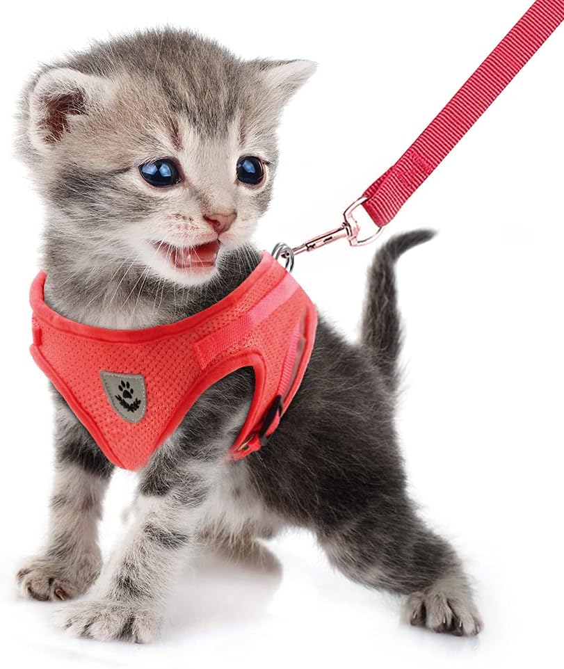 FEimaX Small Dog Cat Harness and Leash Set, No Pull Adjustable Pet Mesh Harness with Reflective Strips