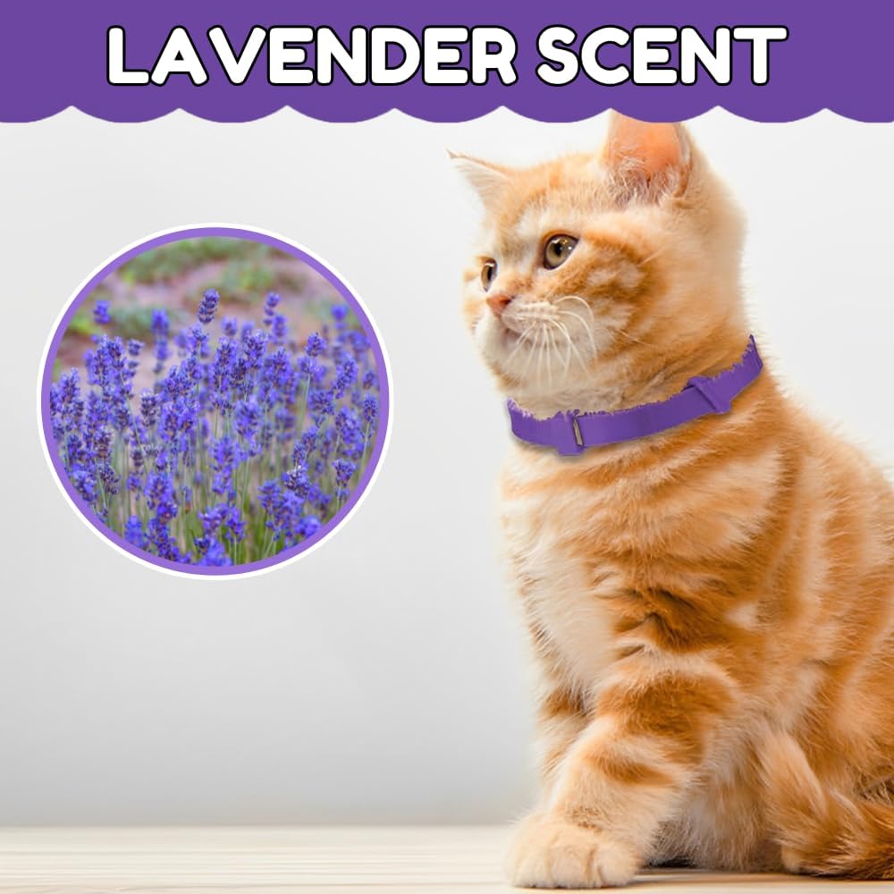 Calming Collar for Cats – 4 Pack Adjustable Cat Calming Collars for Anxiety Relief, Stress Care, Pheromone Collars for Cats Relaxation, Long-Lasting 30-Day Effect (Purple)