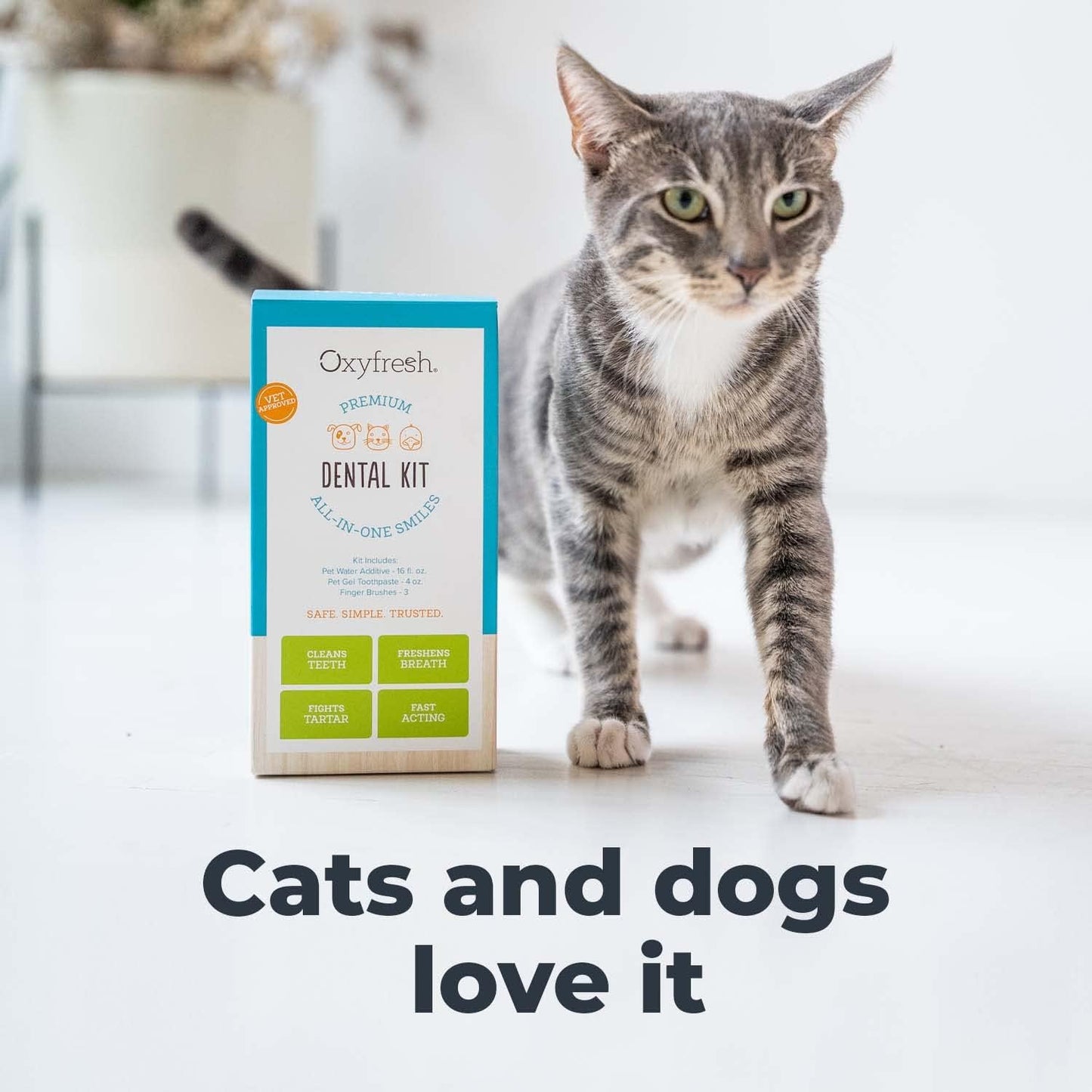 Oxyfresh Premium Pet Dental Kit for Dogs & Cats – Easy Solution for Fresh Breath