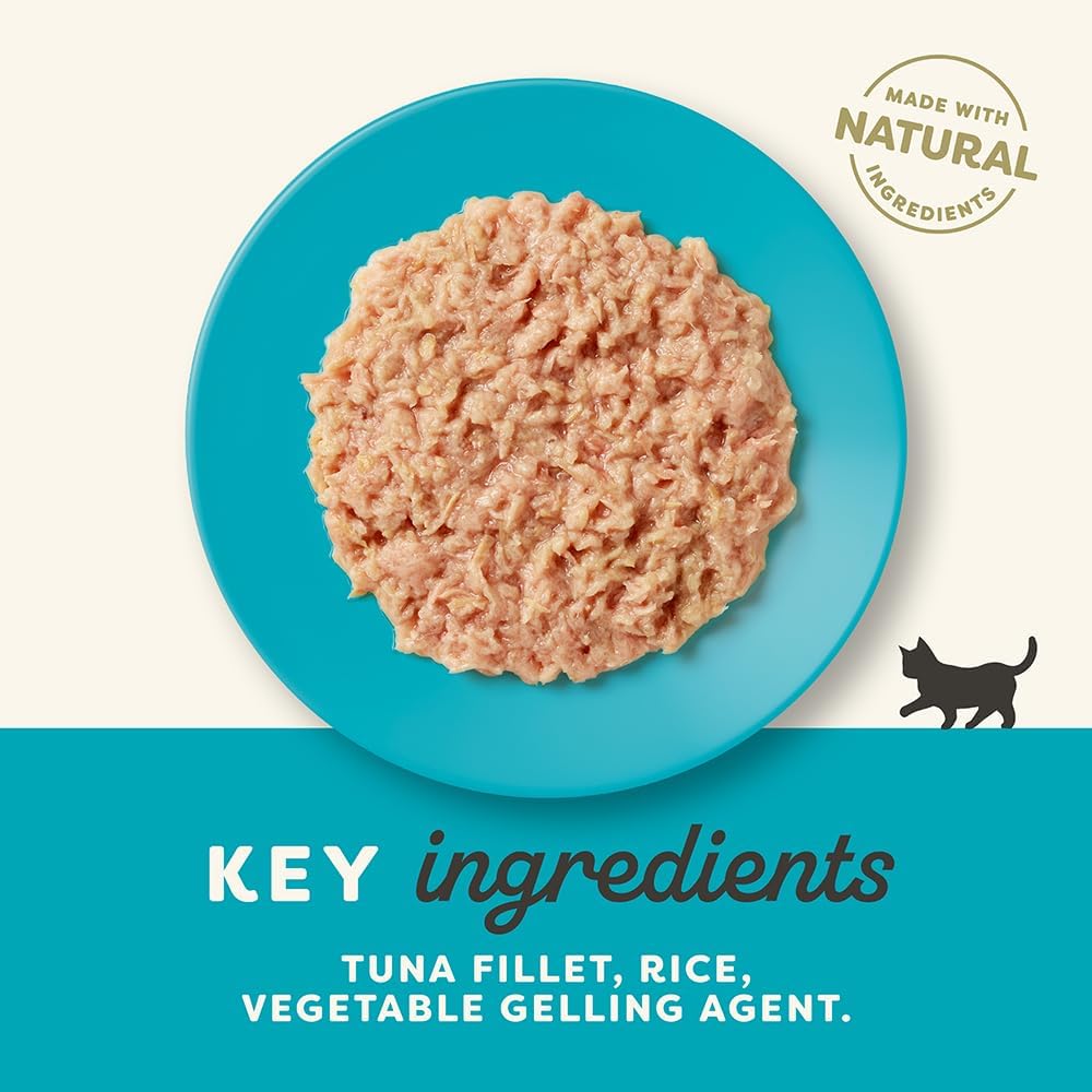 Applaws 100% Natural Wet Complementary Food for Kittens in Broth 70g Tin (Pack of 24)