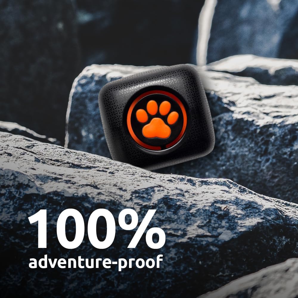 PitPat Dog Activity and Fitness Monitor (No GPS)