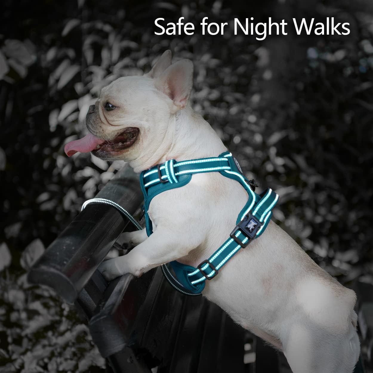 PoyPet No Pull Dog Harness, No Choke Reflective Dog Vest (Tumalo Teal,S)