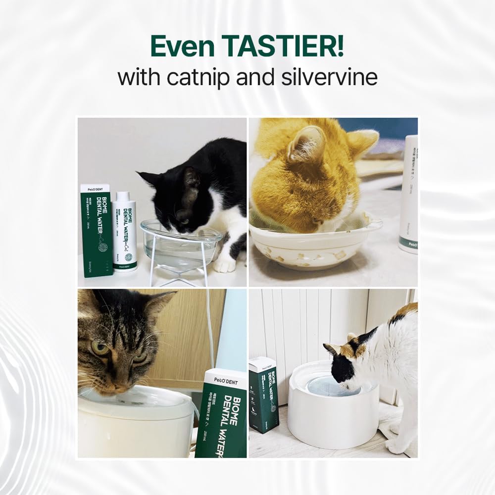 PetO'Dent Dental Water Additive for Cats