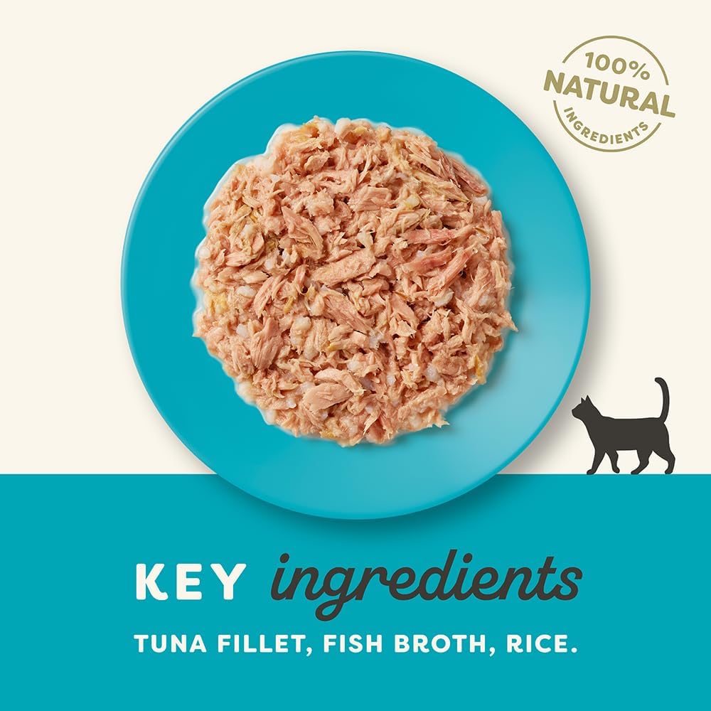 Applaws 100% Natural Wet Cat Food Tuna Fillet in Broth, Limited Ingredients Pet Food 70g Tin (Pack of 24)