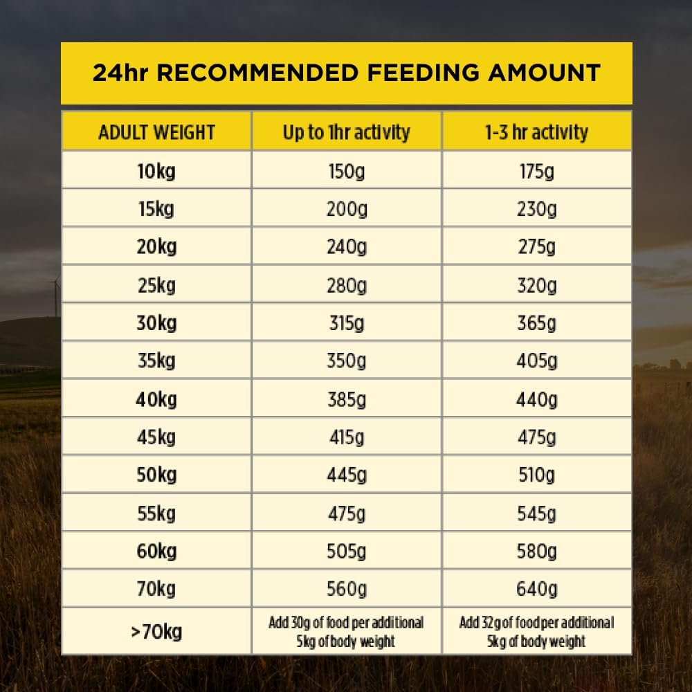 PURINA Pro Plan Adult 7+ Bright Mind Chicken Dry Dog Food 12kg