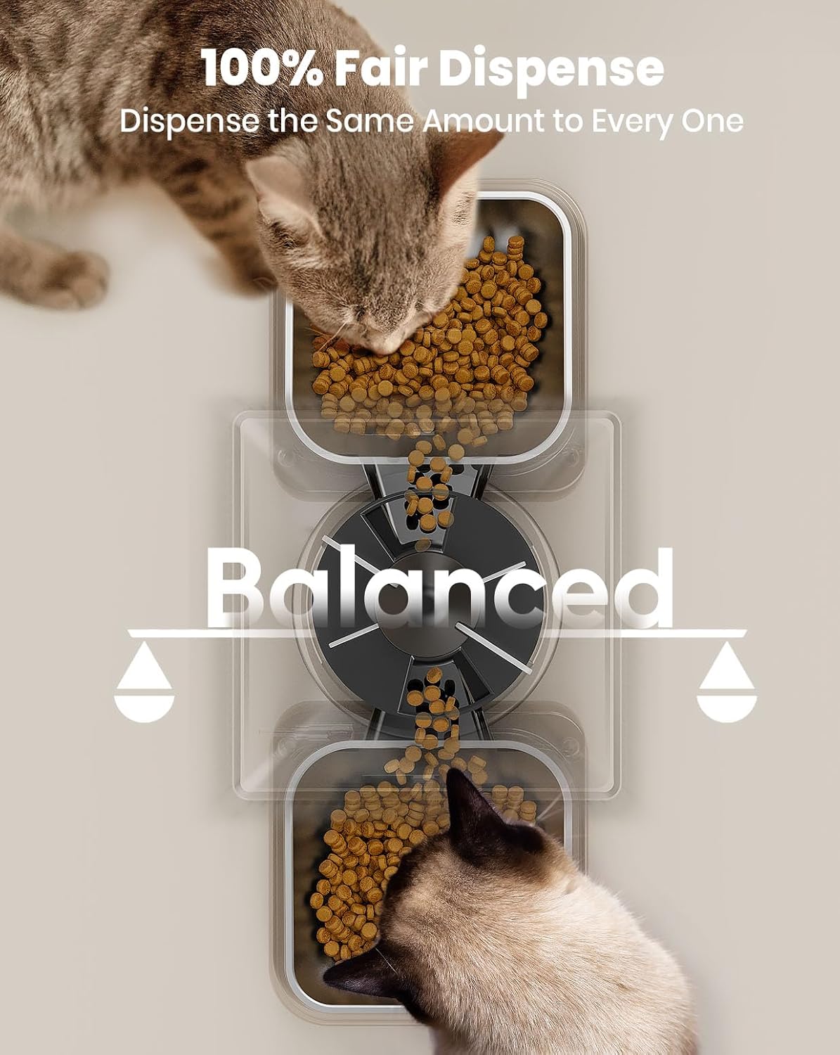 oneisall Automatic Cat Feeder for 2 Cats, 20 Cups/5L