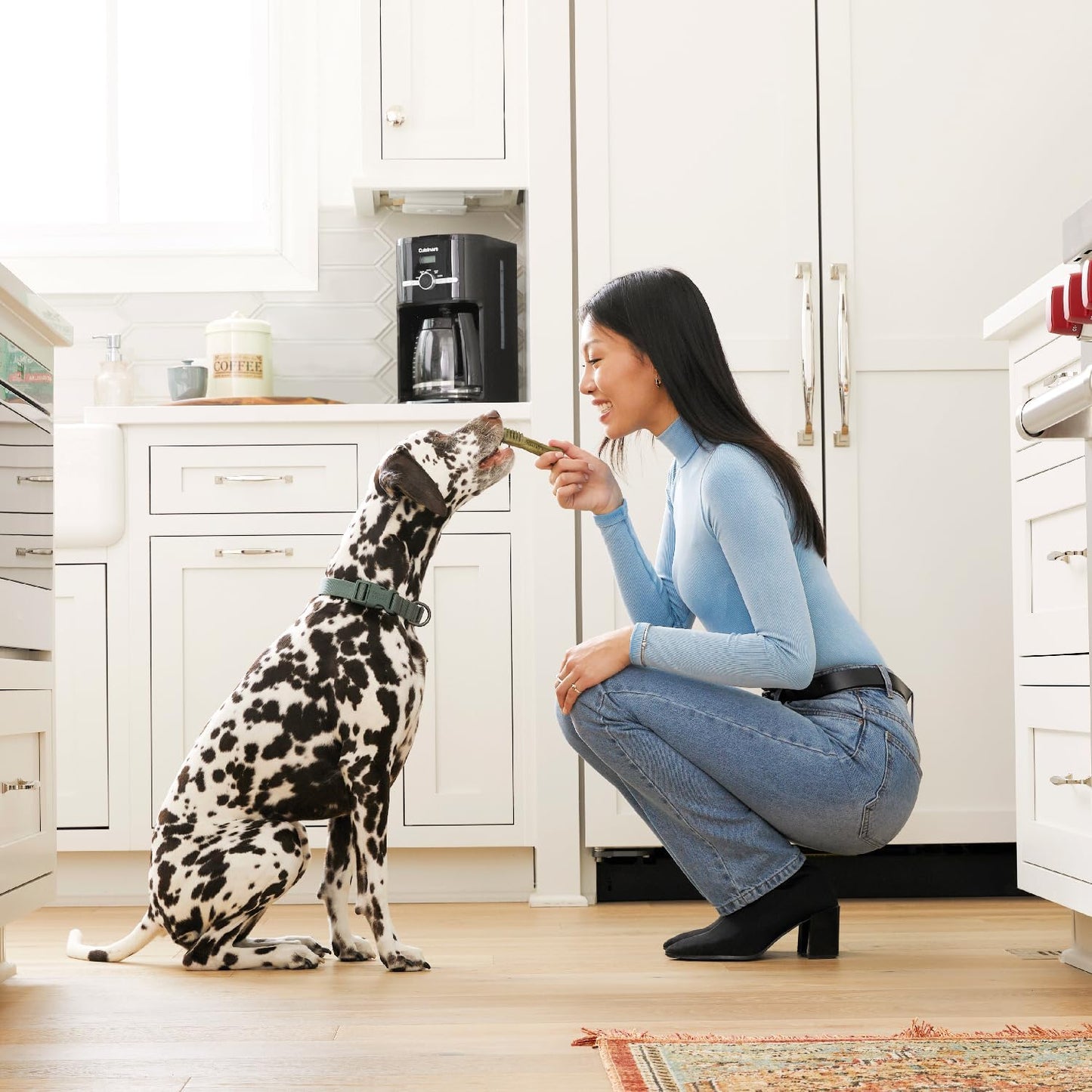 Greenies Canine Dental Dog Treats