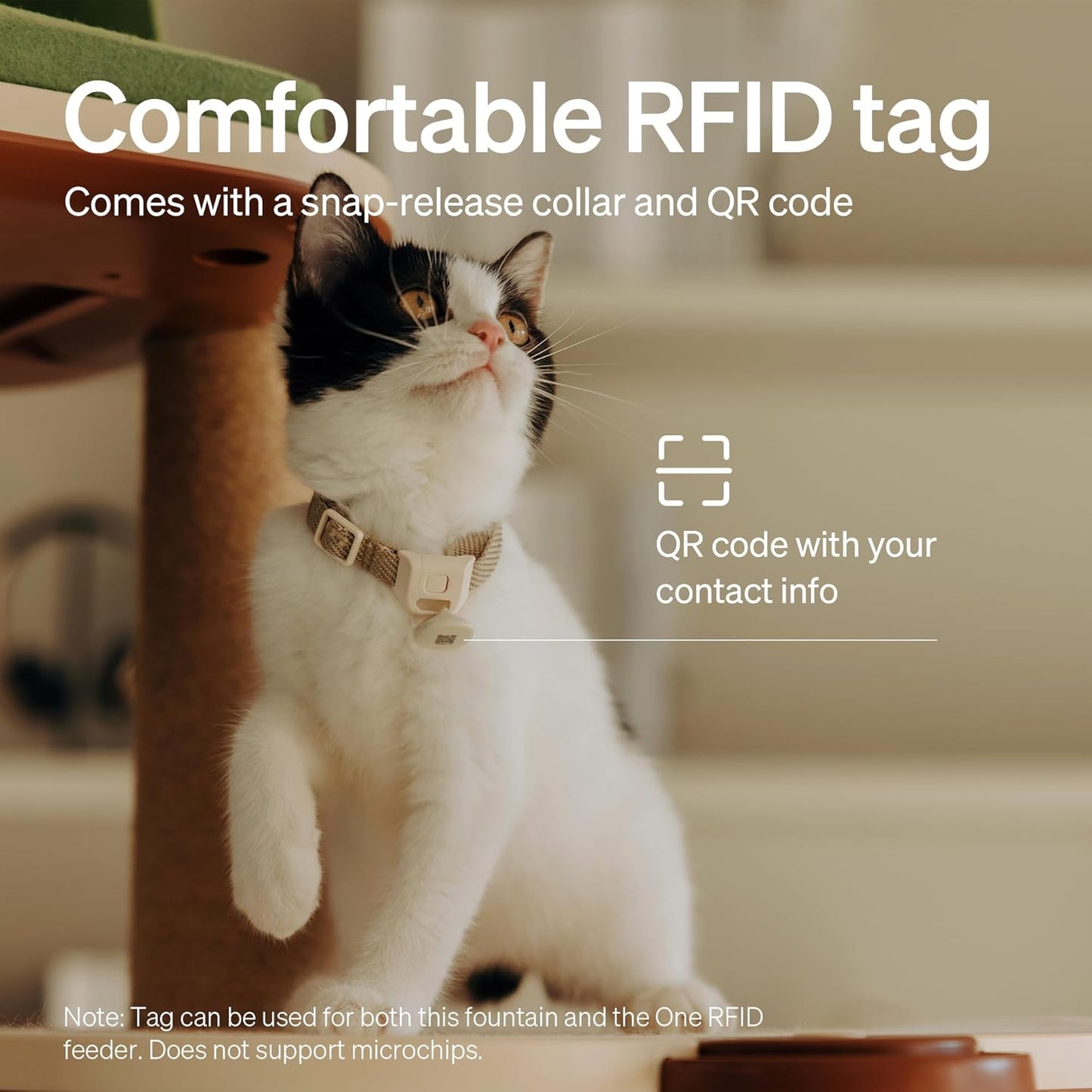 PETLIBRO Multi Cats Water Fountain, Dockstream RFID Smart APP Monitoring Cat Fountain, Pump-Free