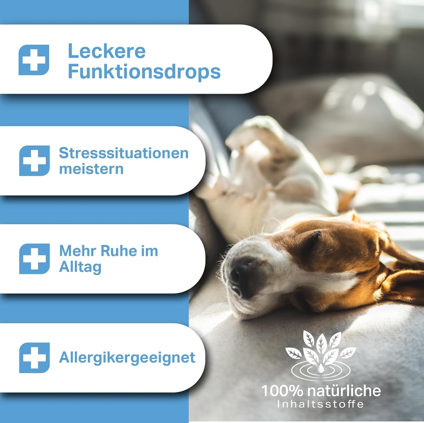 Medidog 400g Premium Soothing Relax Drops for Dogs, Natural Sedative, Extra Cold Pressed and Grain-Free, Against Anxiety