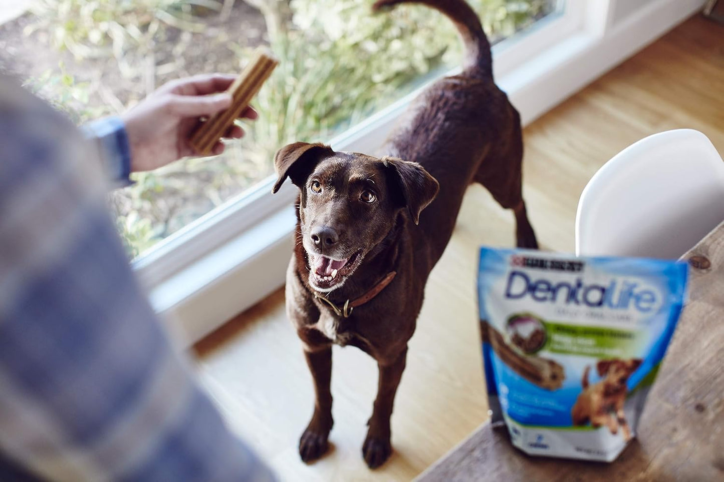 Dentallife Adult Daily Large Breed Dog Dental Treats