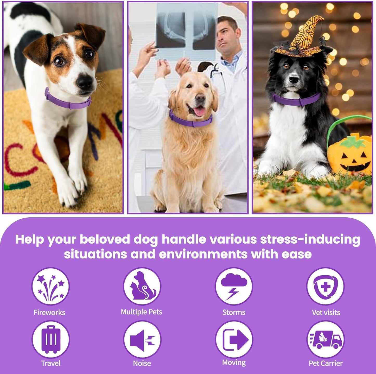 Calming Collar for Dogs – Fast-Acting, Lasts 60 Days, (Aurora, 3 Pack)-all dogs