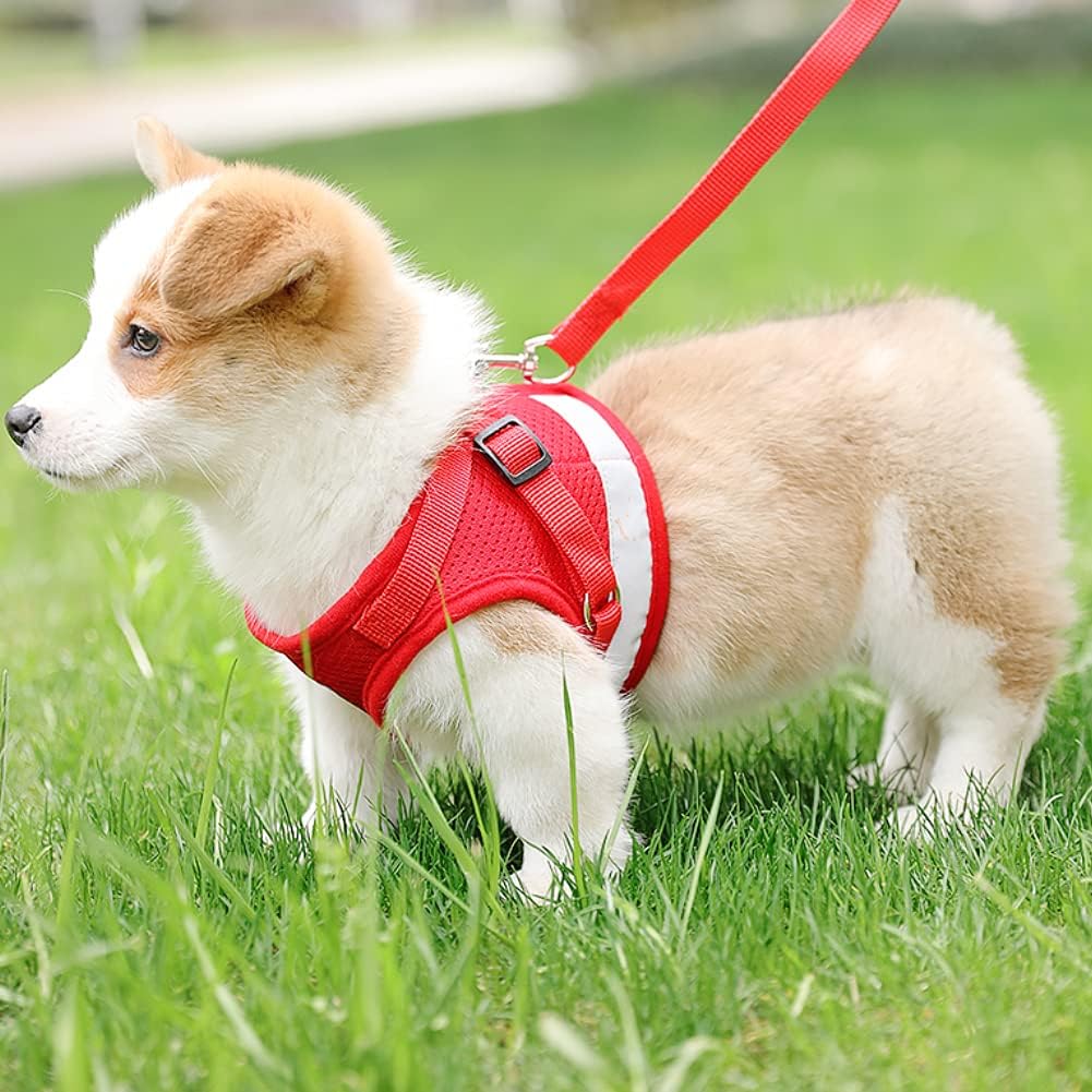 FEimaX Small Dog Cat Harness and Leash Set, No Pull Adjustable Pet Mesh Harness with Reflective Strips