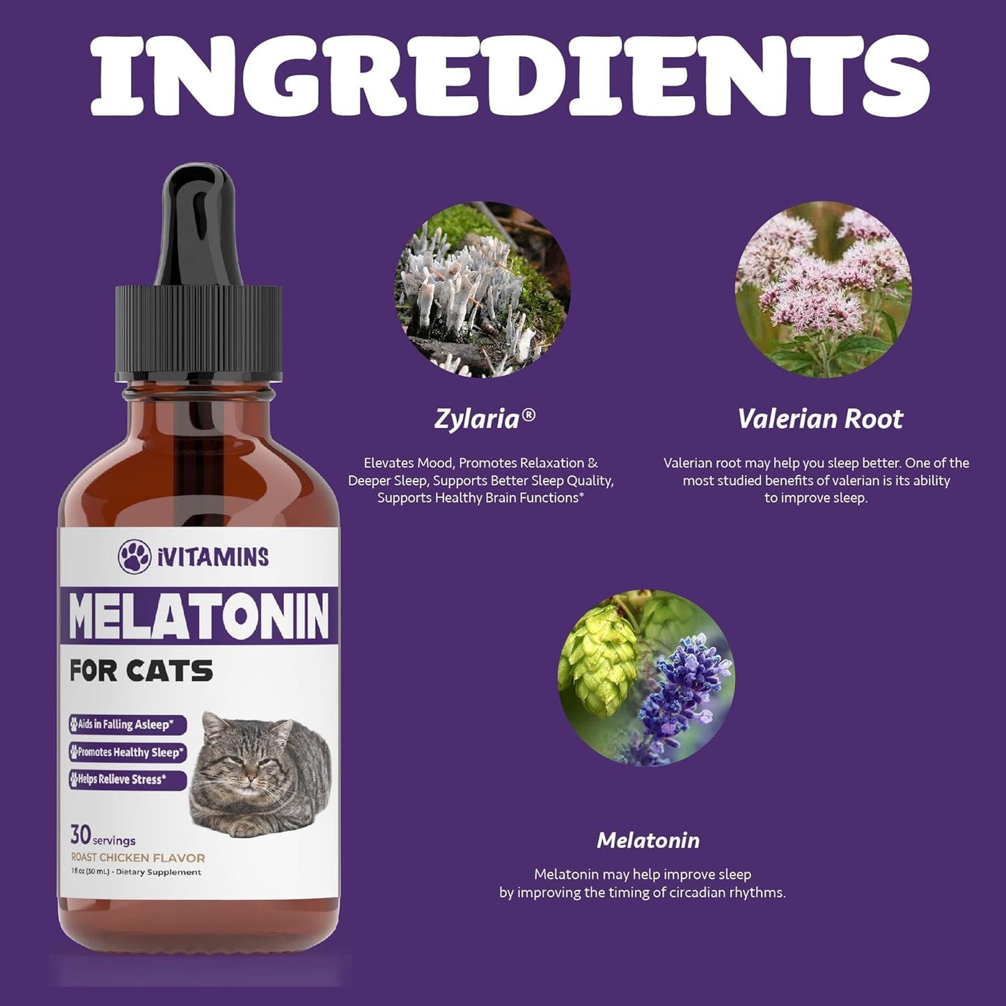 Melatonin for Cats | Supports Healthy, Restful Sleep for Your Cat | Cat Stress Relief | 1 fl oz