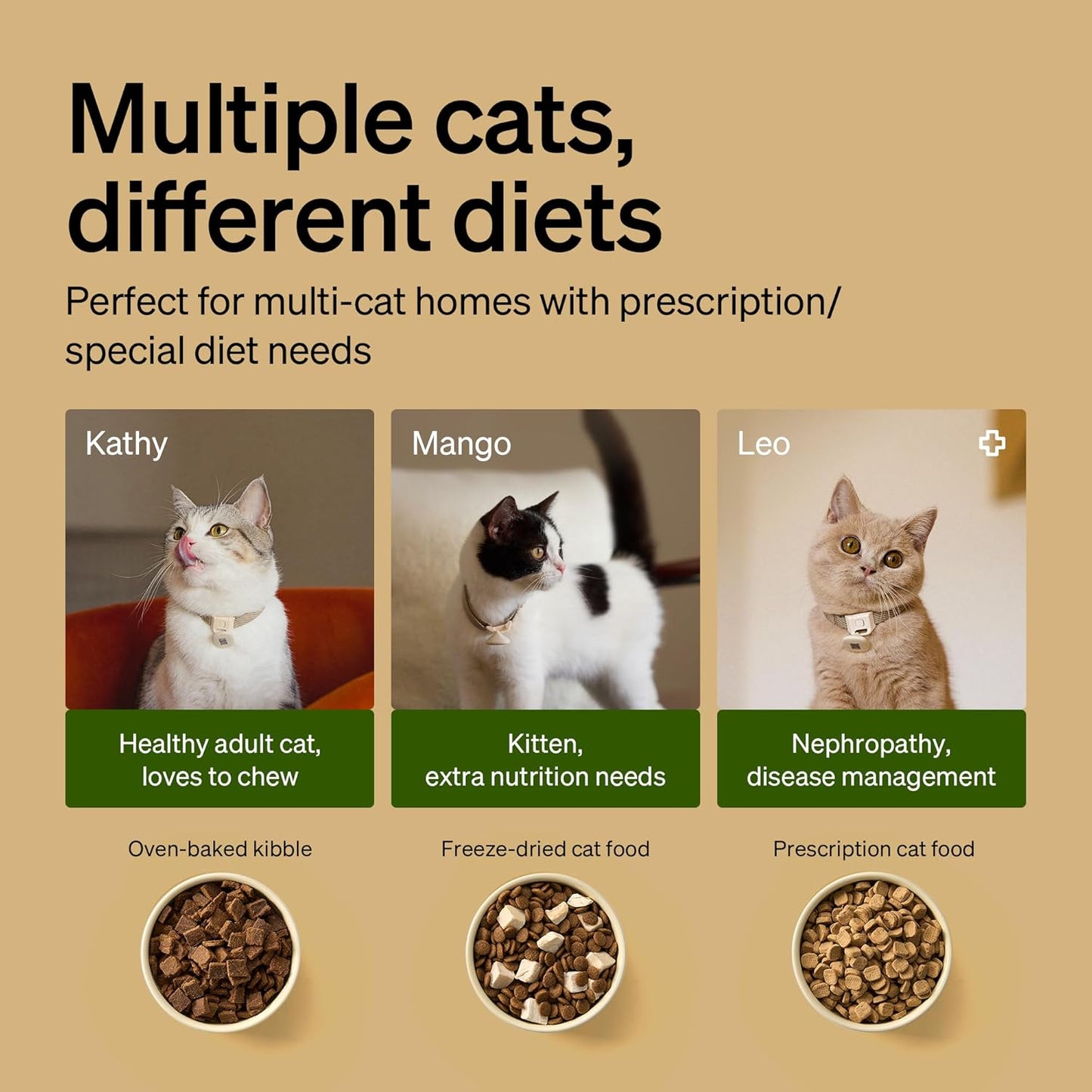 PETLIBRO RFID Automatic Cat Feeder & Water Fountain – Collar Tag Activated, Wi-Fi Programmable Combo with Cat Recognition & Diet Tracking