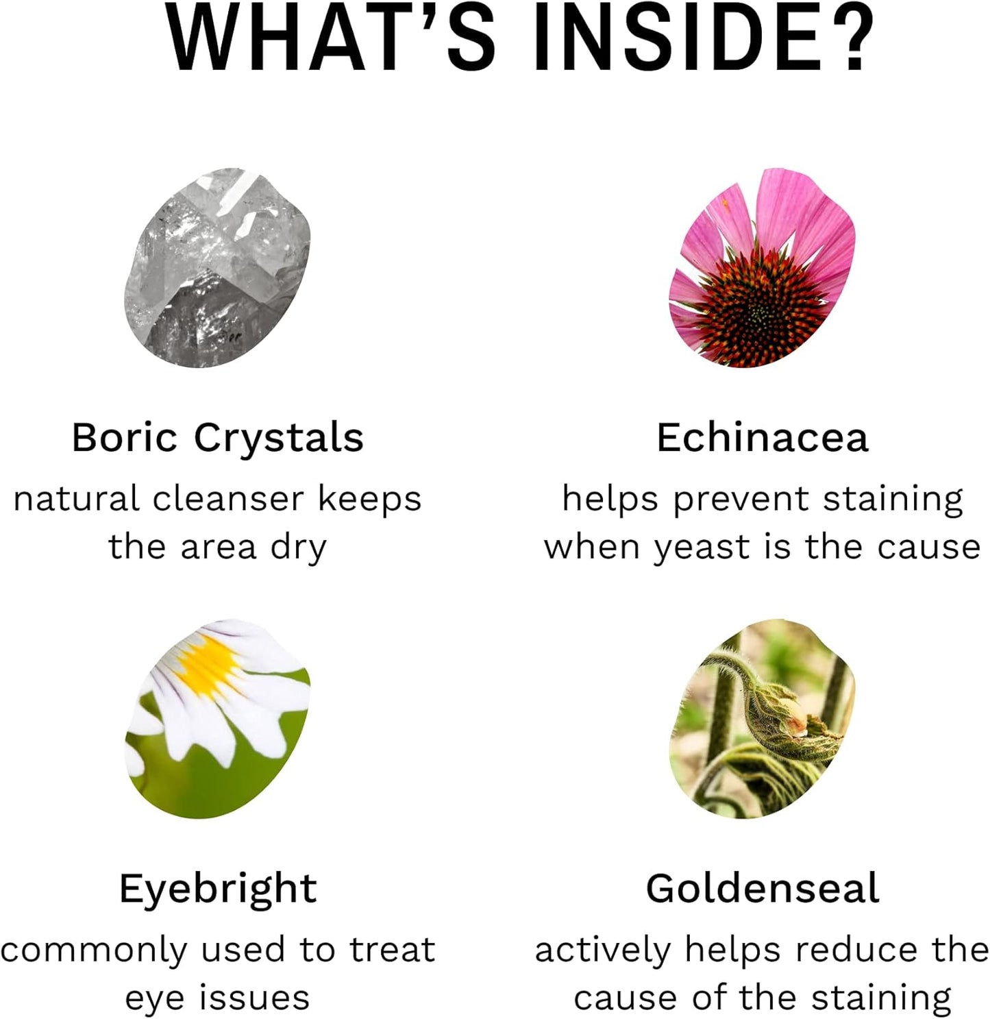 Eye Envy Tear Stain Remover Powder for Dogs and Cats. 100% Natural, Safe.Made in The USA. (.5 oz)