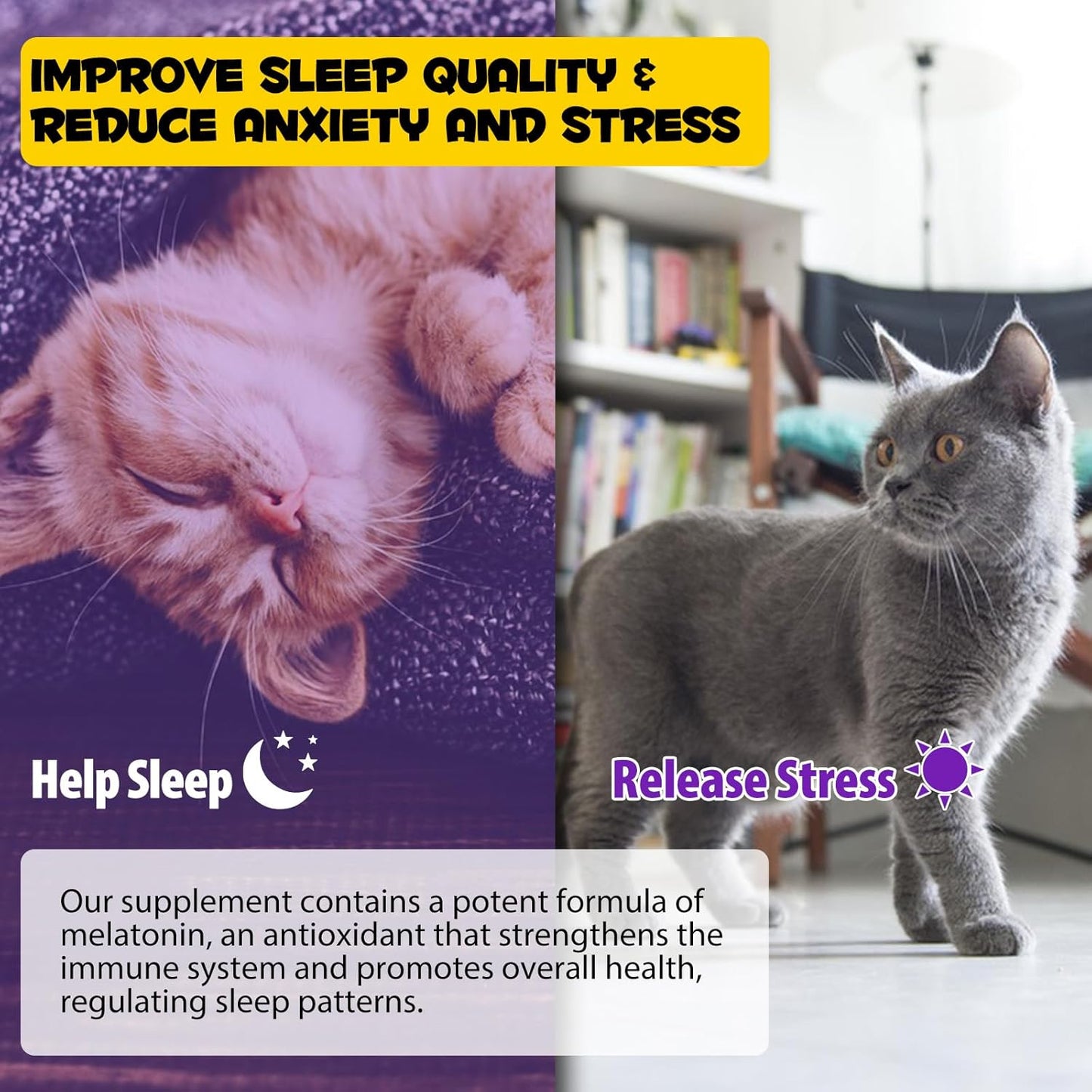 Melatonin For Cats Cat Calming Cat Sleep Aid Cat Melatonin Cat Anxiety Relief Relaxants & Anxiety Relief For Cats Cat Calming Drops 60ml (120ML)