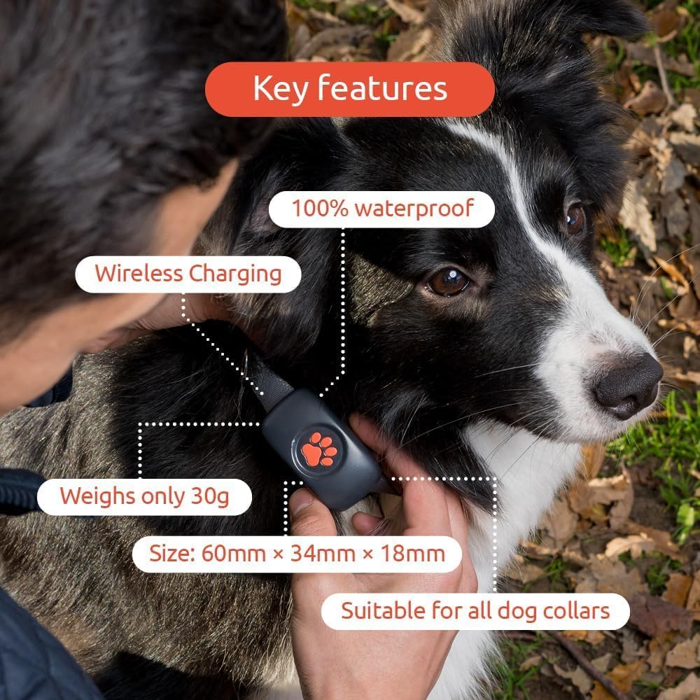 PitPat Dog GPS Tracker - No Subscription Required - Suitable for All (Black)