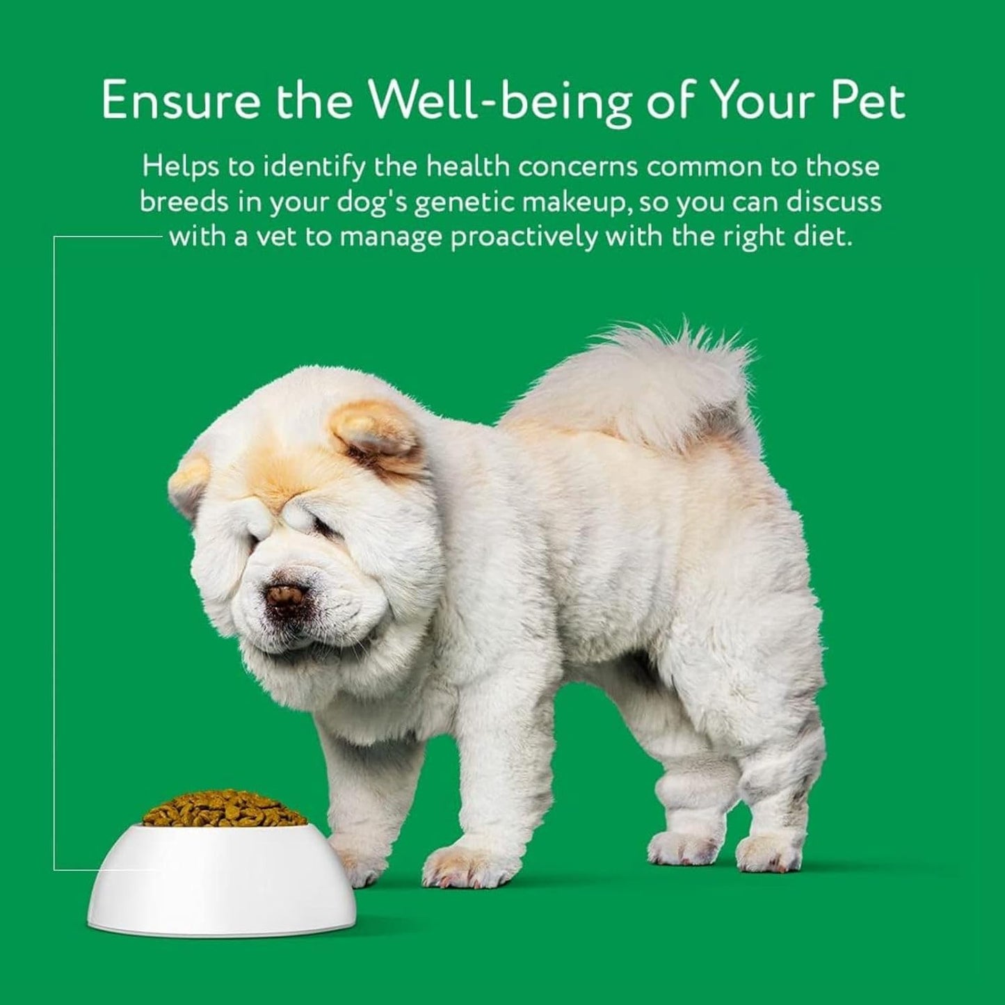 Dna My Dog – Essential Breed ID Test | Accurate DNA Analysis of 350+ Dog Breeds