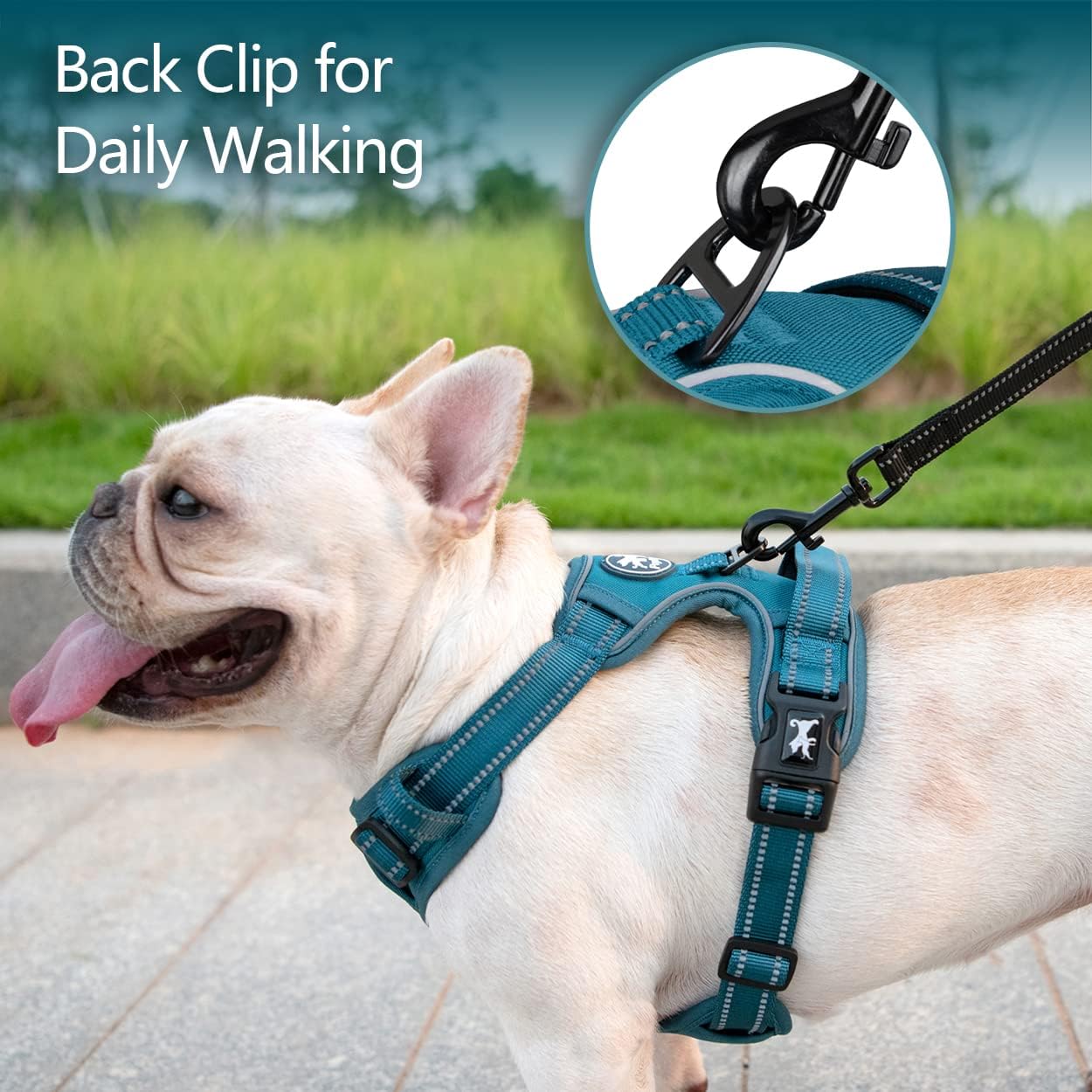 PoyPet No Pull Dog Harness, No Choke Reflective Dog Vest (Tumalo Teal,S)