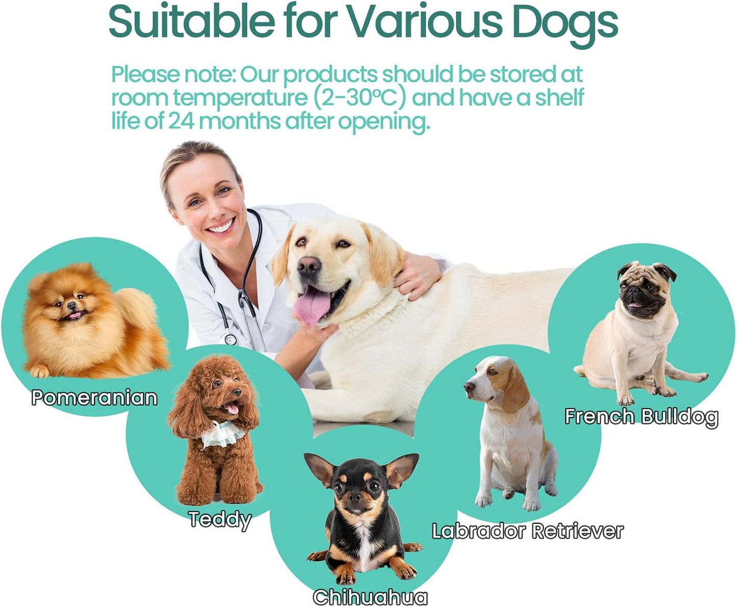 Fast and Accurate Dog Pregnancy Test Kit at Home - One-time Use Pregnancy Test for Dogs - Quick and Reliable Detection (1 Set)