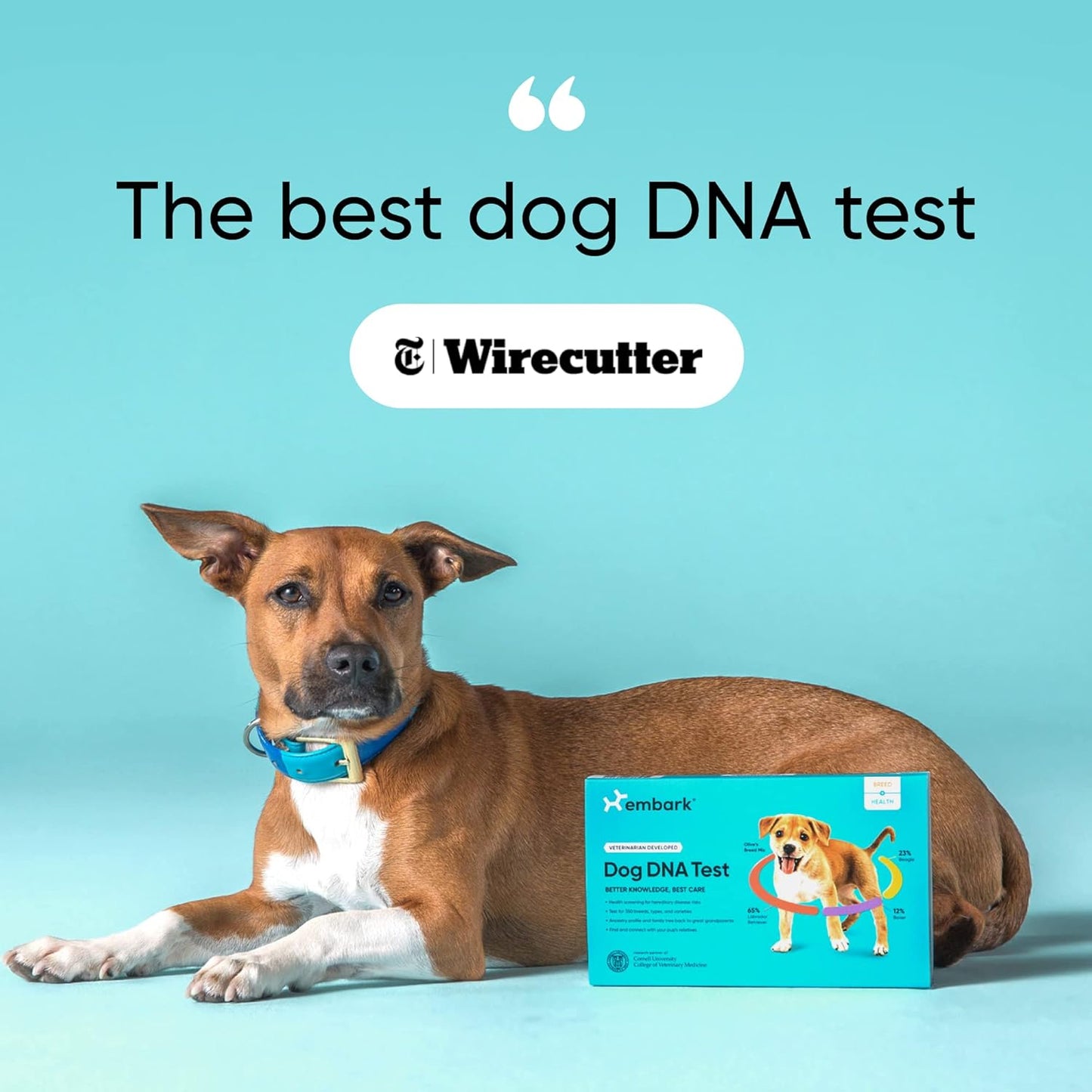Embark Breed & Health Kit - Dog DNA Test - Discover Breed, Ancestry, Relative Finder, Genetic Health, Traits, Allergy Risk Scores