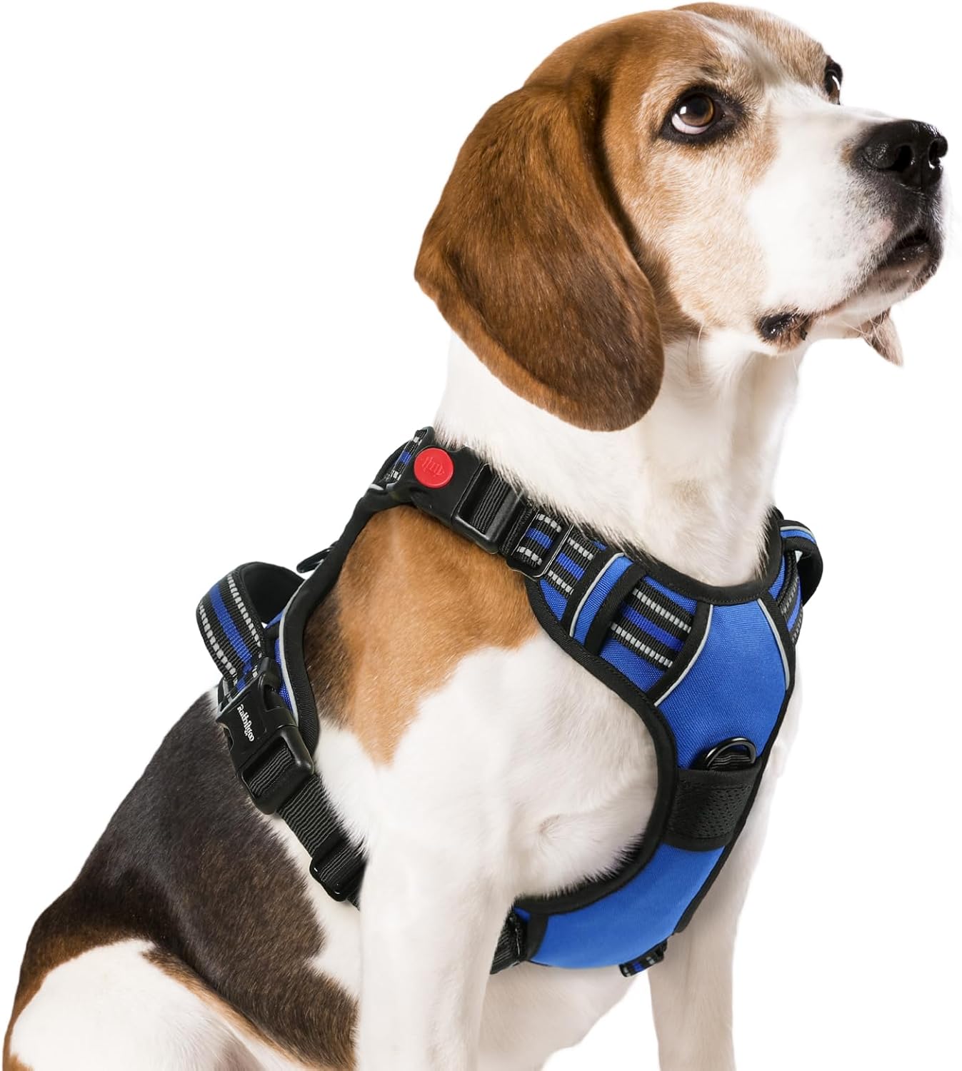 rabbitgoo Dog Harness Medium Sized, No Pull Pet Harness with 3 Buckles, Blue, M
