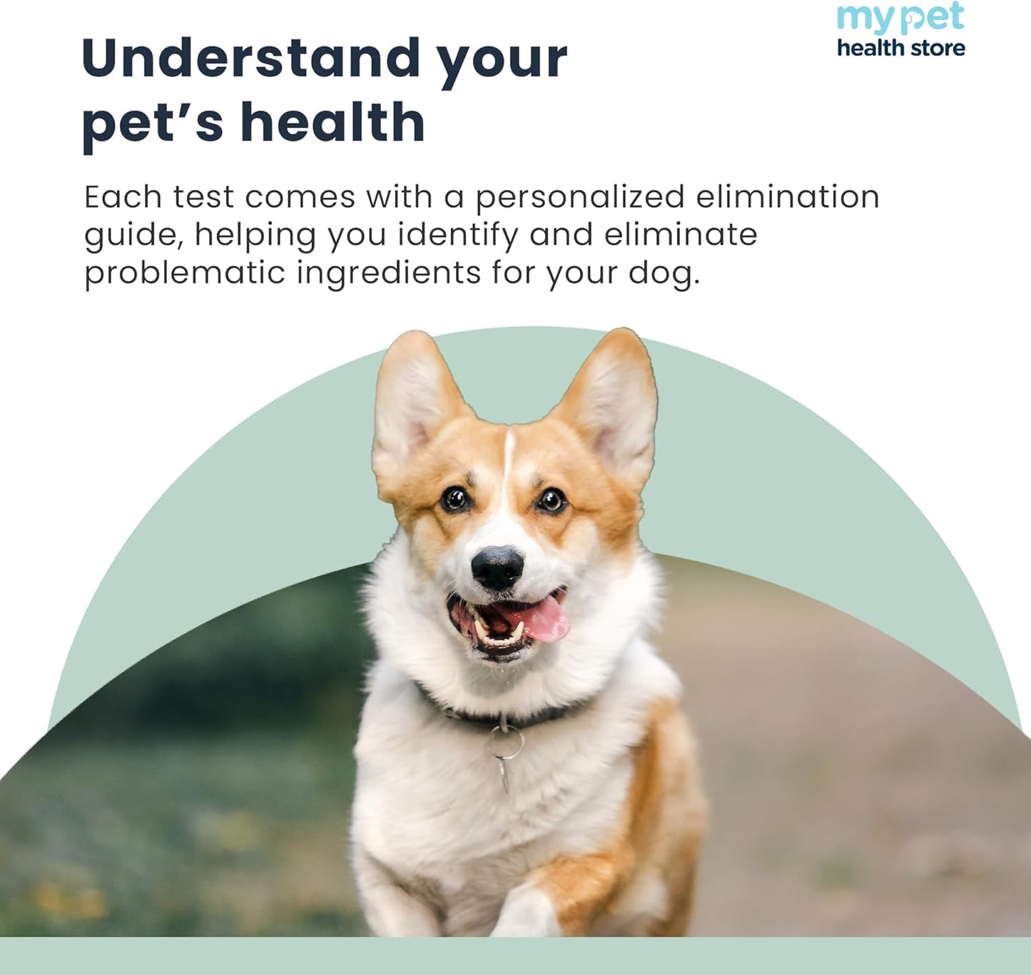 Sensitivity Test - Home Dog Sensitivity Test | 300 Items Checked | Fast 3-5 Day Results | Painless Hair Sample Method | Food, Environment & Additives Analysis